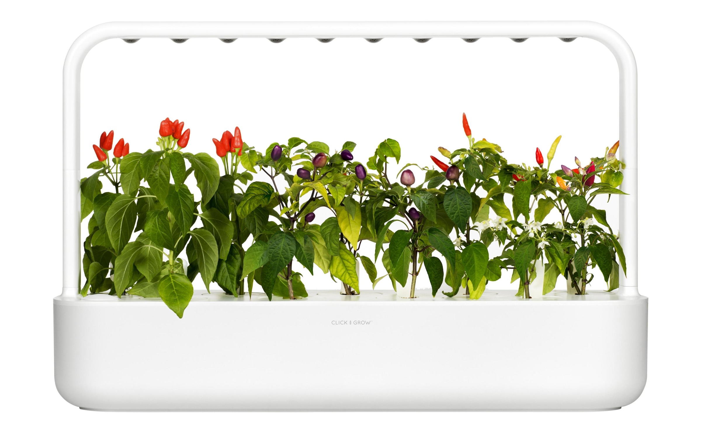 Click and Grow Kräutertopf »Smart Garden 9 Weiss«