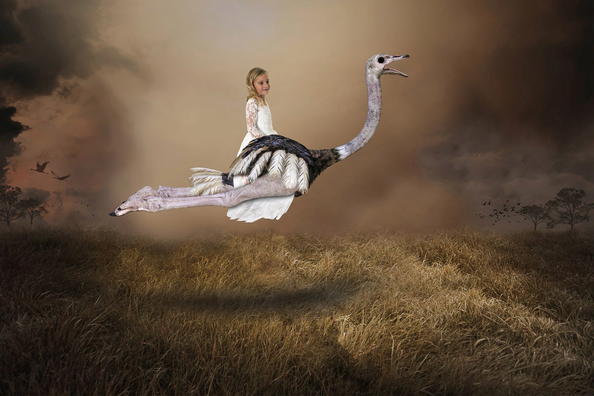 Image of Papermoon Fototapete »Mädchen Strauss Vogel Liebe Hoffnung«, Vliestapete, hochwertiger Digitaldruck, inklusive Kleister bei Ackermann Versand Schweiz