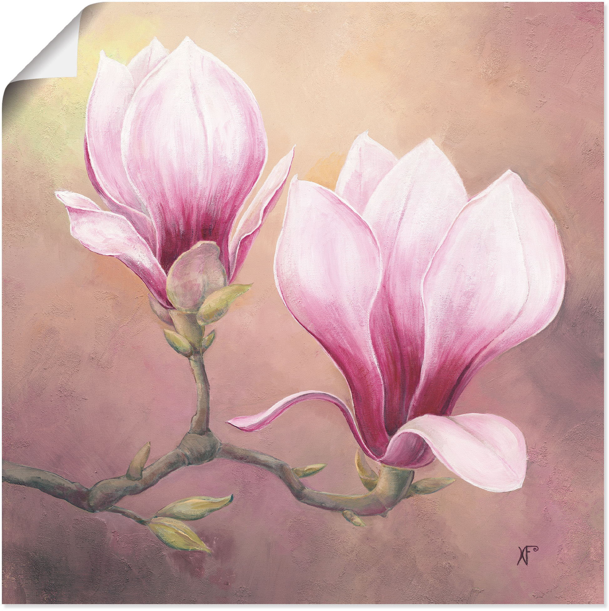 versch. oder Alubild, kaufen Artland St.), Wandaufkleber Blumenbilder, (1 Leinwandbild, als Poster Grössen in Magnolie«, »Späte Wandbild