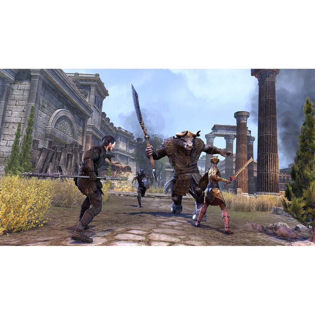 Spielesoftware »GAME The Elder Scrolls Online Colle«, PC