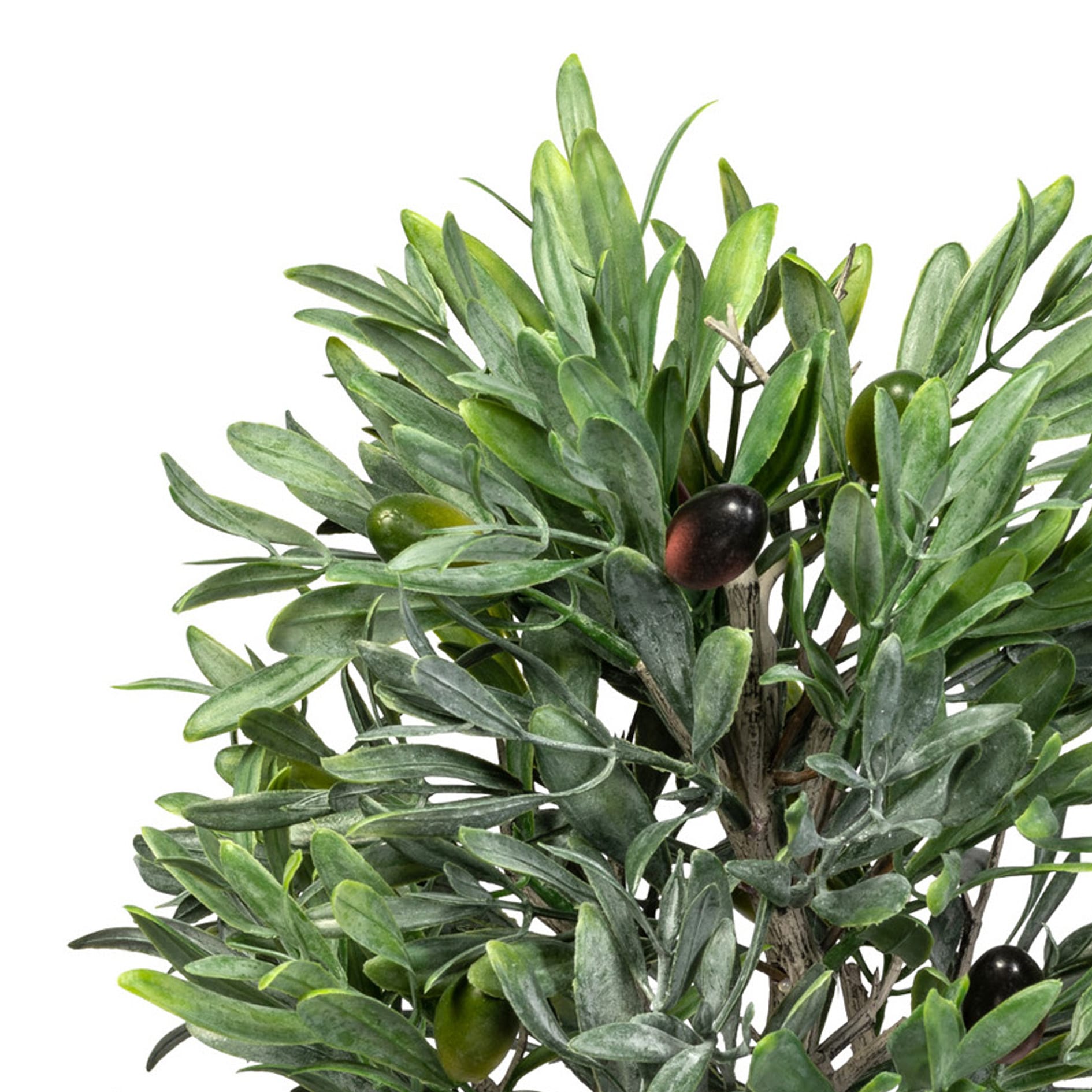 Creativ green Plante artificielle »Olive« mit detailgetreuer Gestaltung