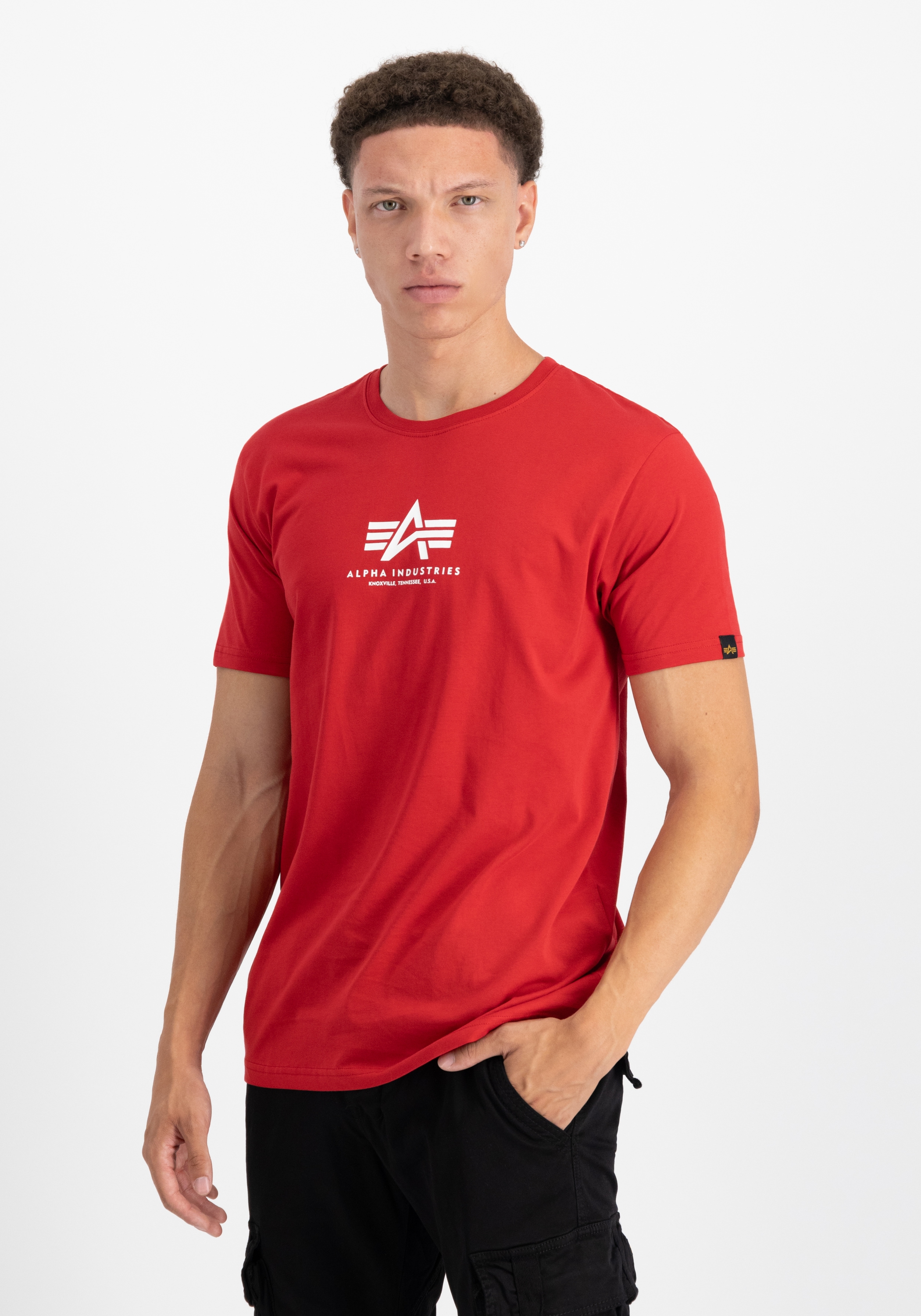 Alpha Industries T-Shirt »Basic T-Shirt ML«