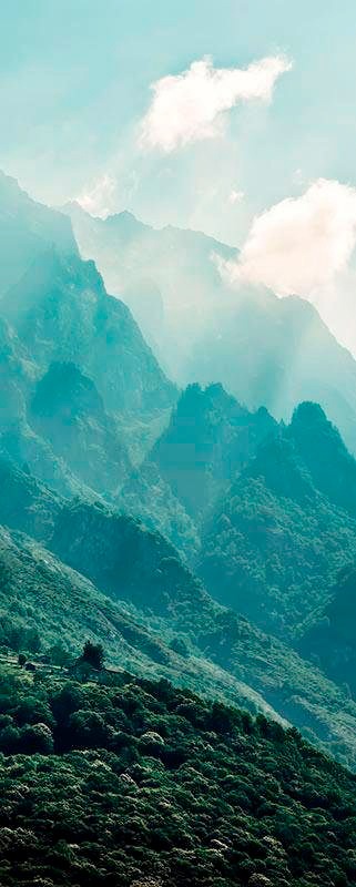 Image of Komar Vliestapete »The Summit Pan«, naturalistisch bei Ackermann Versand Schweiz