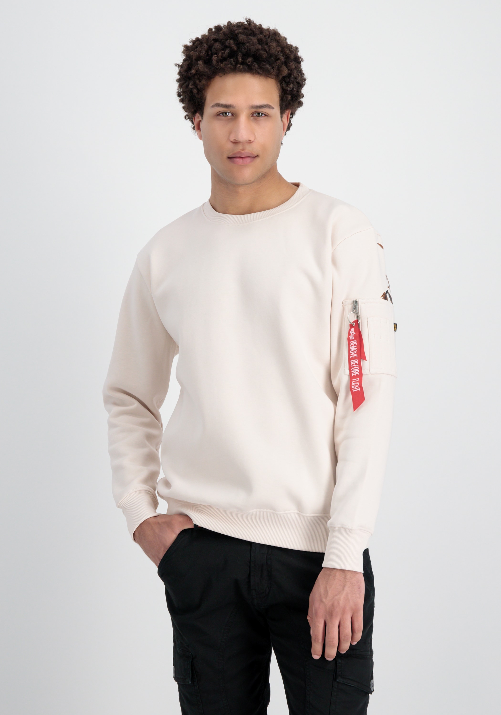Alpha Industries Sweater »Dragon EMB Sweatshirt«
