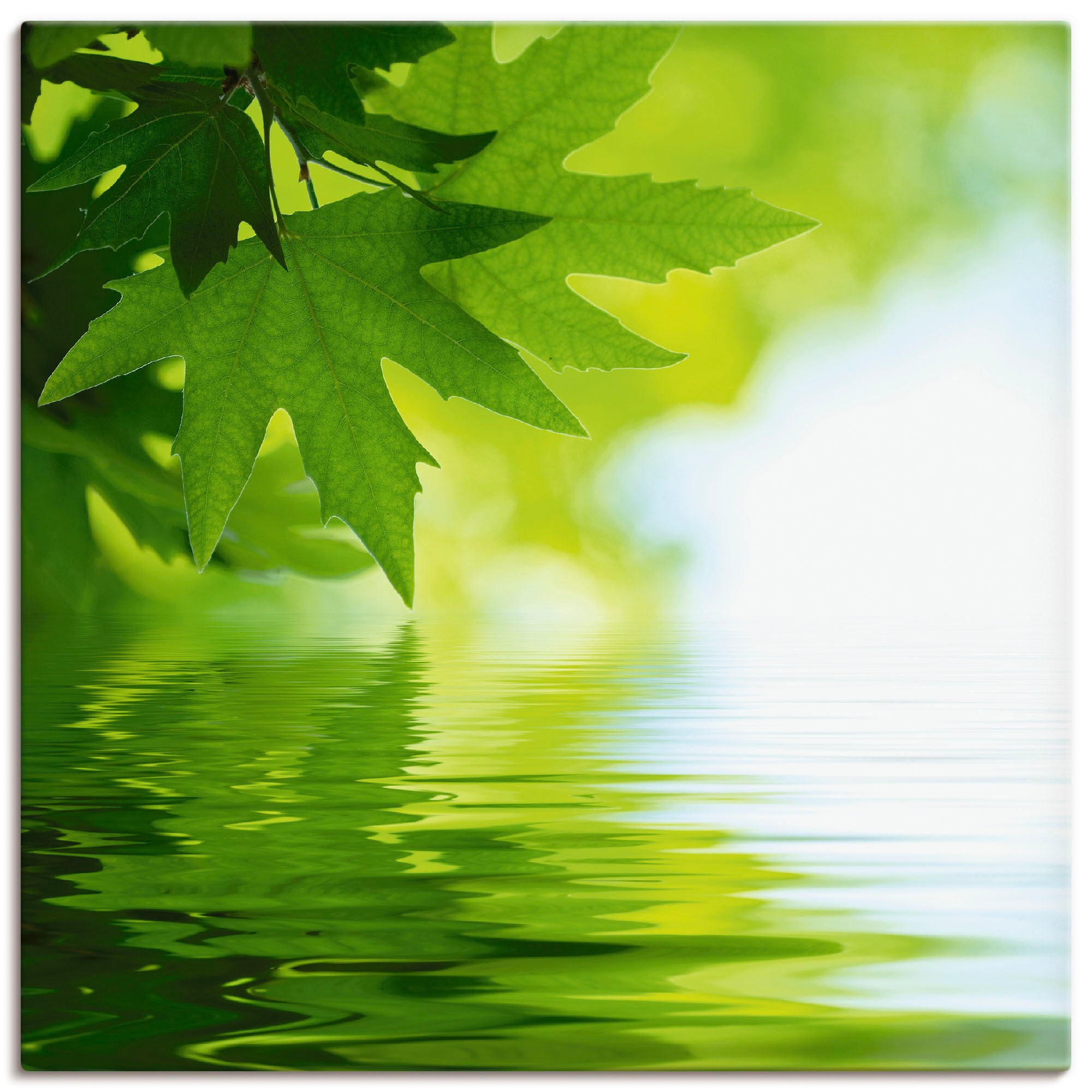 Image of Artland Leinwandbild "Grüne Blätter reflektieren im Wasser" Blätter 1 Stk. tlg. auf Holzrahmen gespannt
