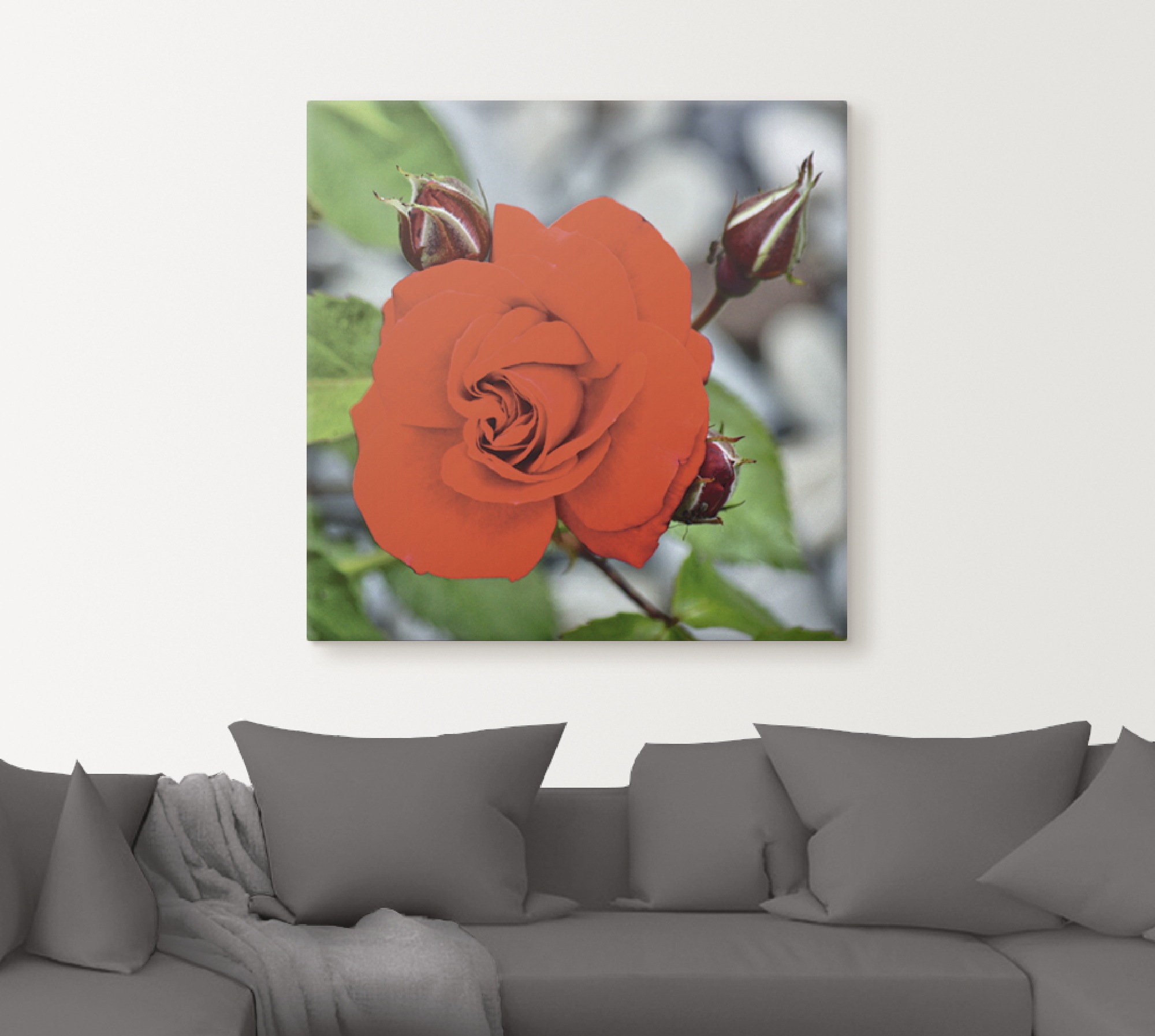 Artland Wandbild »Rote Rosenblüte mit Knospen«, Blumen, (1 St.), als Leinwandbild, Wandaufkleber in verschied. Grössen