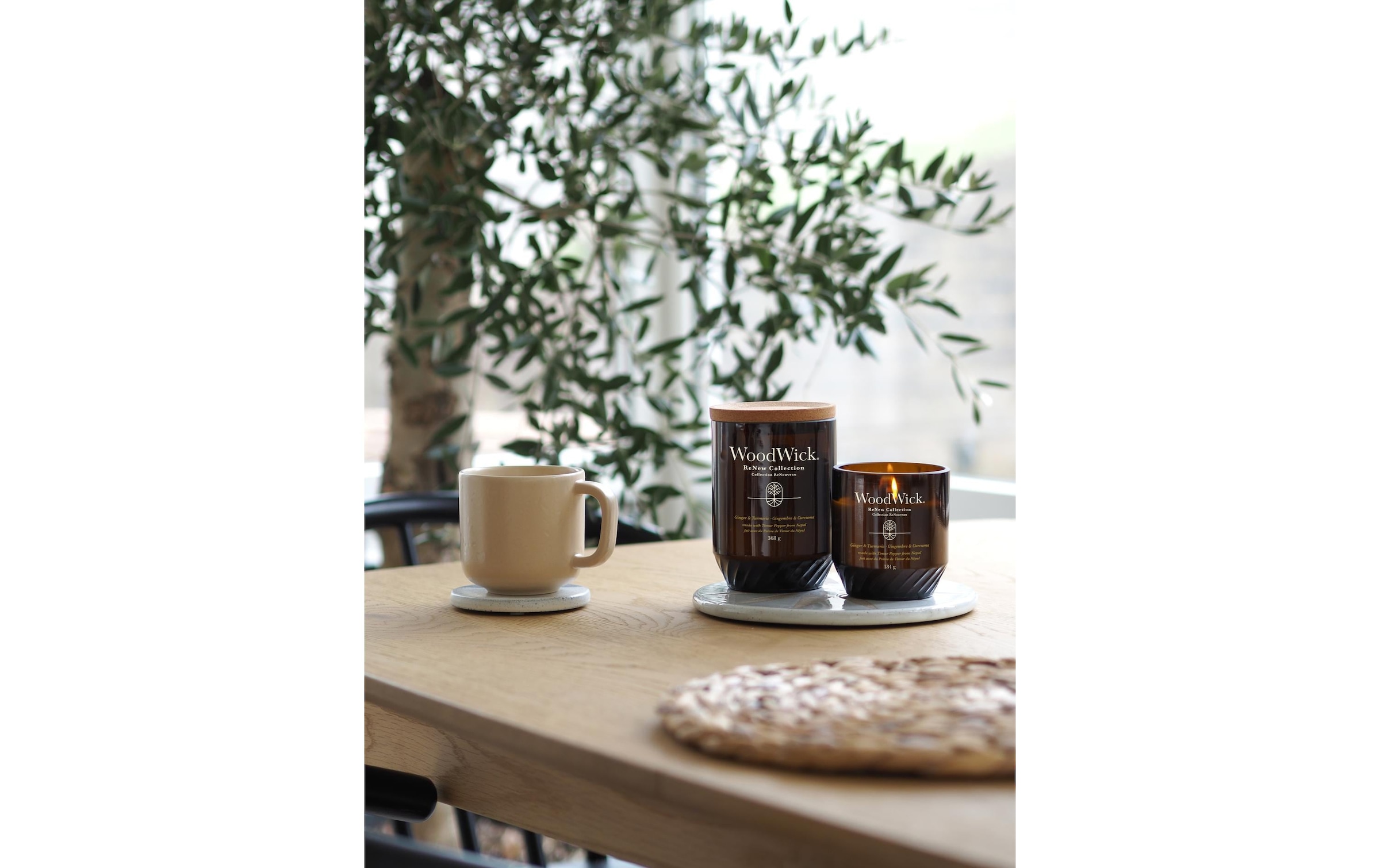 Woodwick Duftkerze »Ginger & Tumeric ReNew Medium Jar«