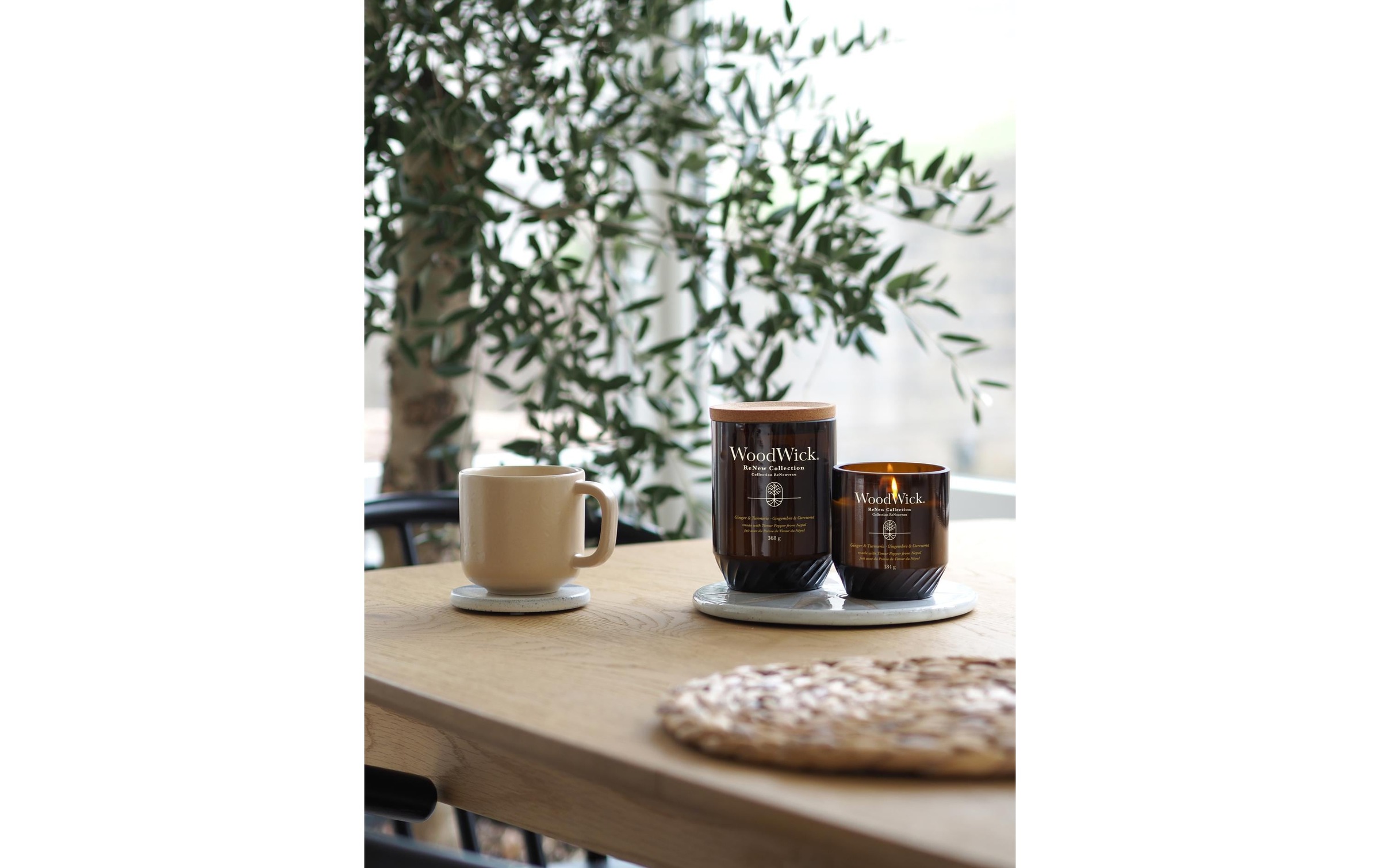 Woodwick ReNew Ginger & Tumeric Media Ginger & Tumeric Candela Profumata Vasetto