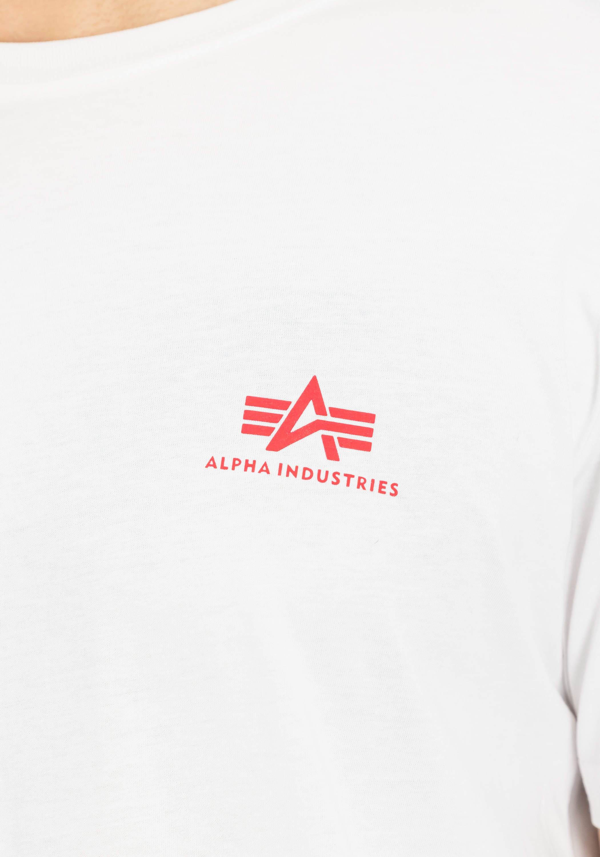 Alpha Industries T-Shirt »Backprint T-Shirt«