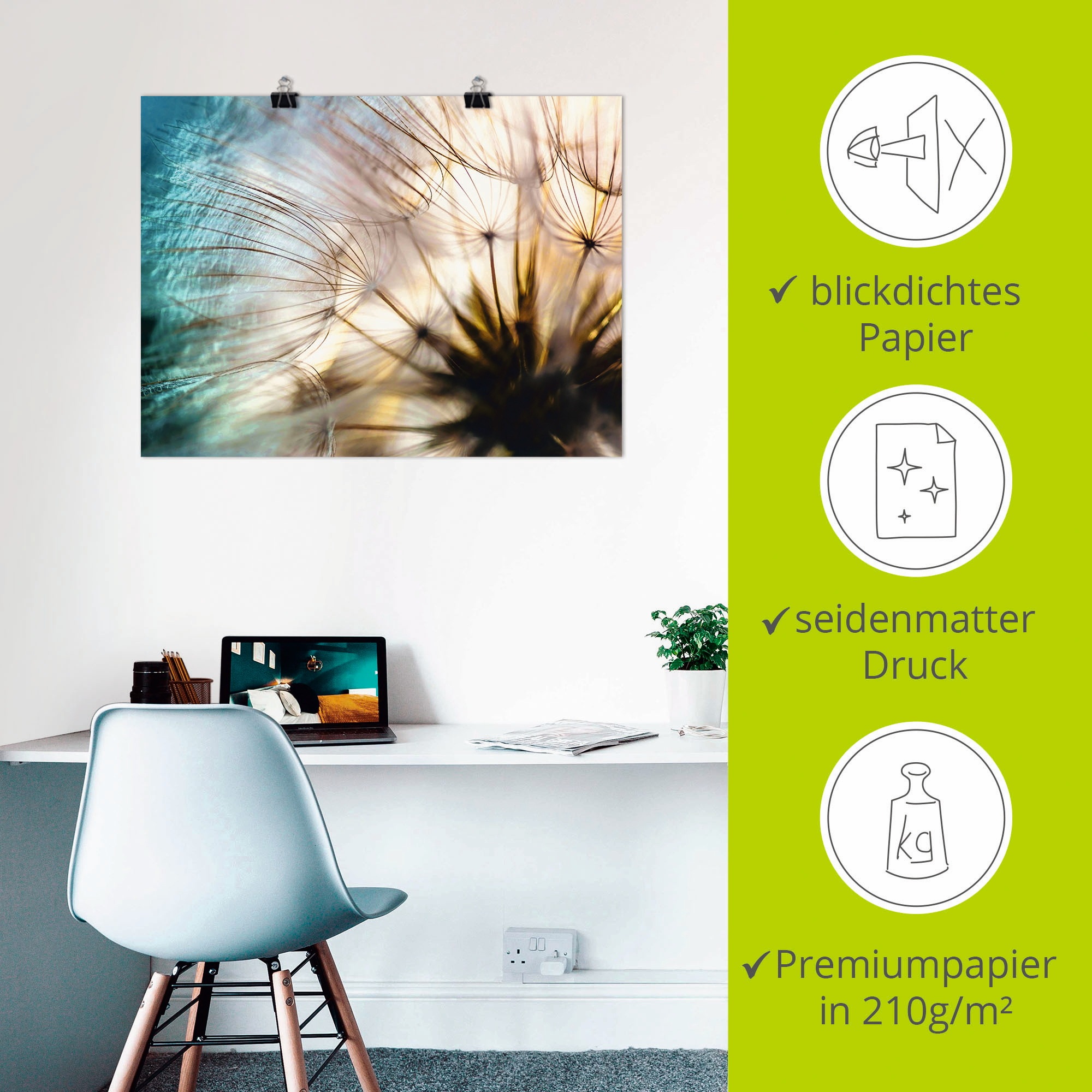 Artland Wandbild »Pusteblume Makro abstrakt«, Blumen, (1 St.), als Alubild, Outdoorbild, Leinwandbild, Poster, Wandaufkleber