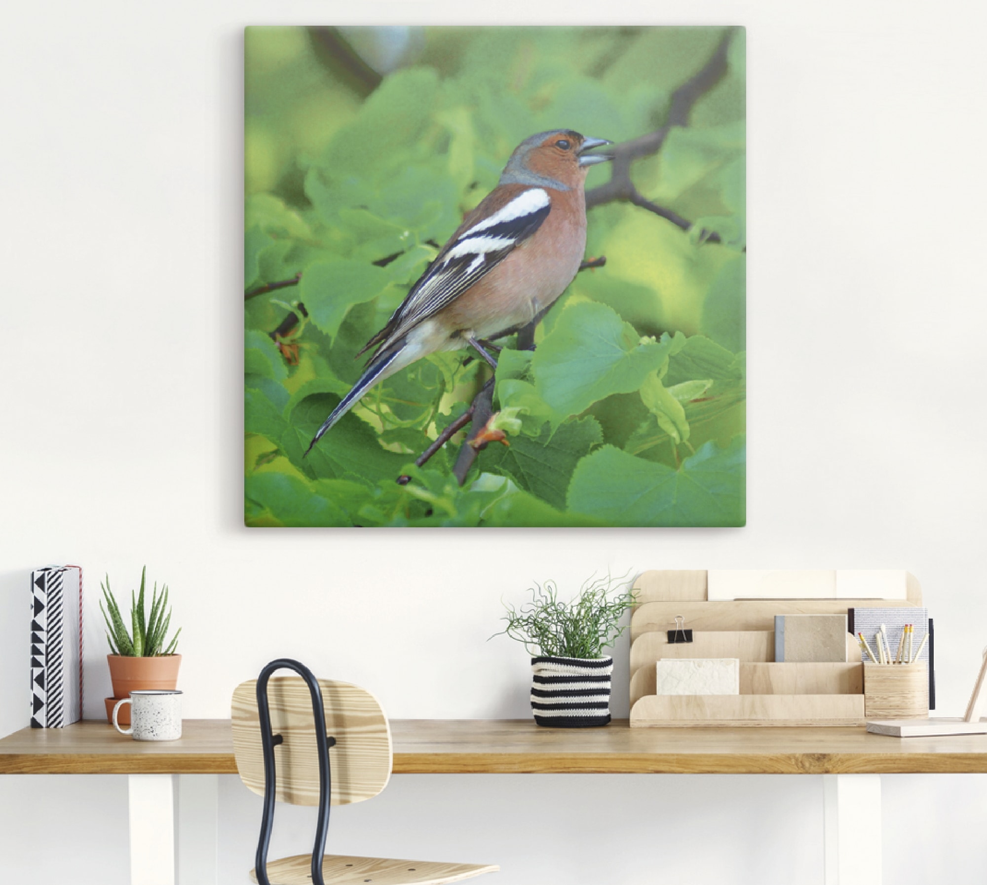 Artland Wandbild »Buchfink Lied«, Vögel, (1 St.), als Leinwandbild, Poster in verschied. Grössen