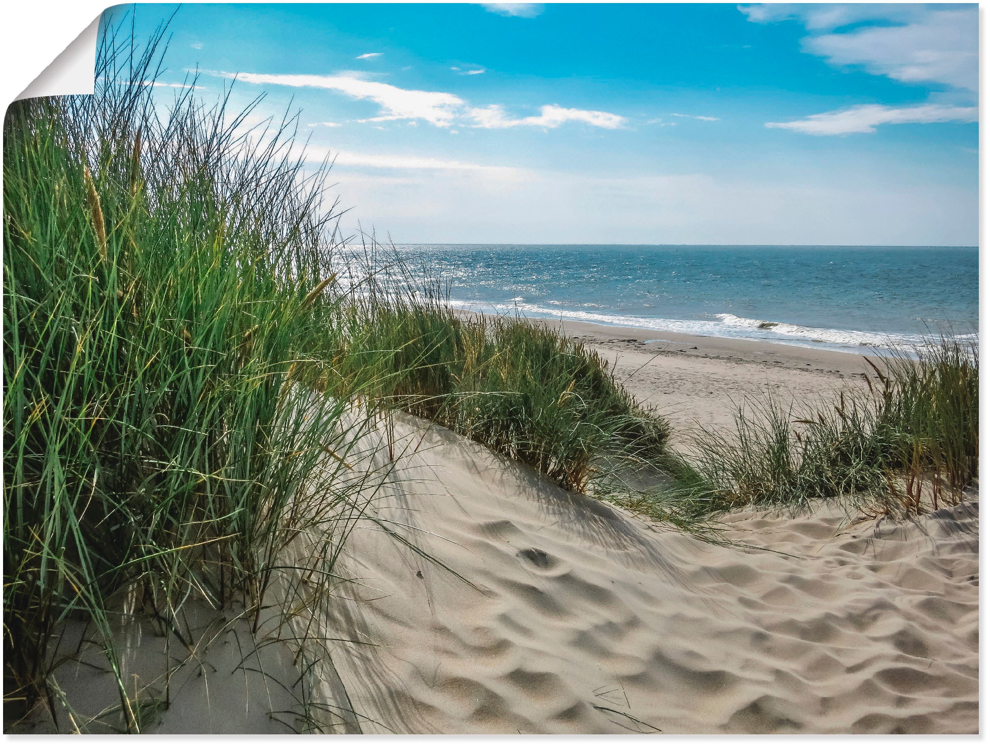 Image of Artland Wandbild "Dünenlandschaft im Sommer an der Nordsee" Strand 1 Stk. tlg. als Leinwandbild, Poster in verschied. Grössen