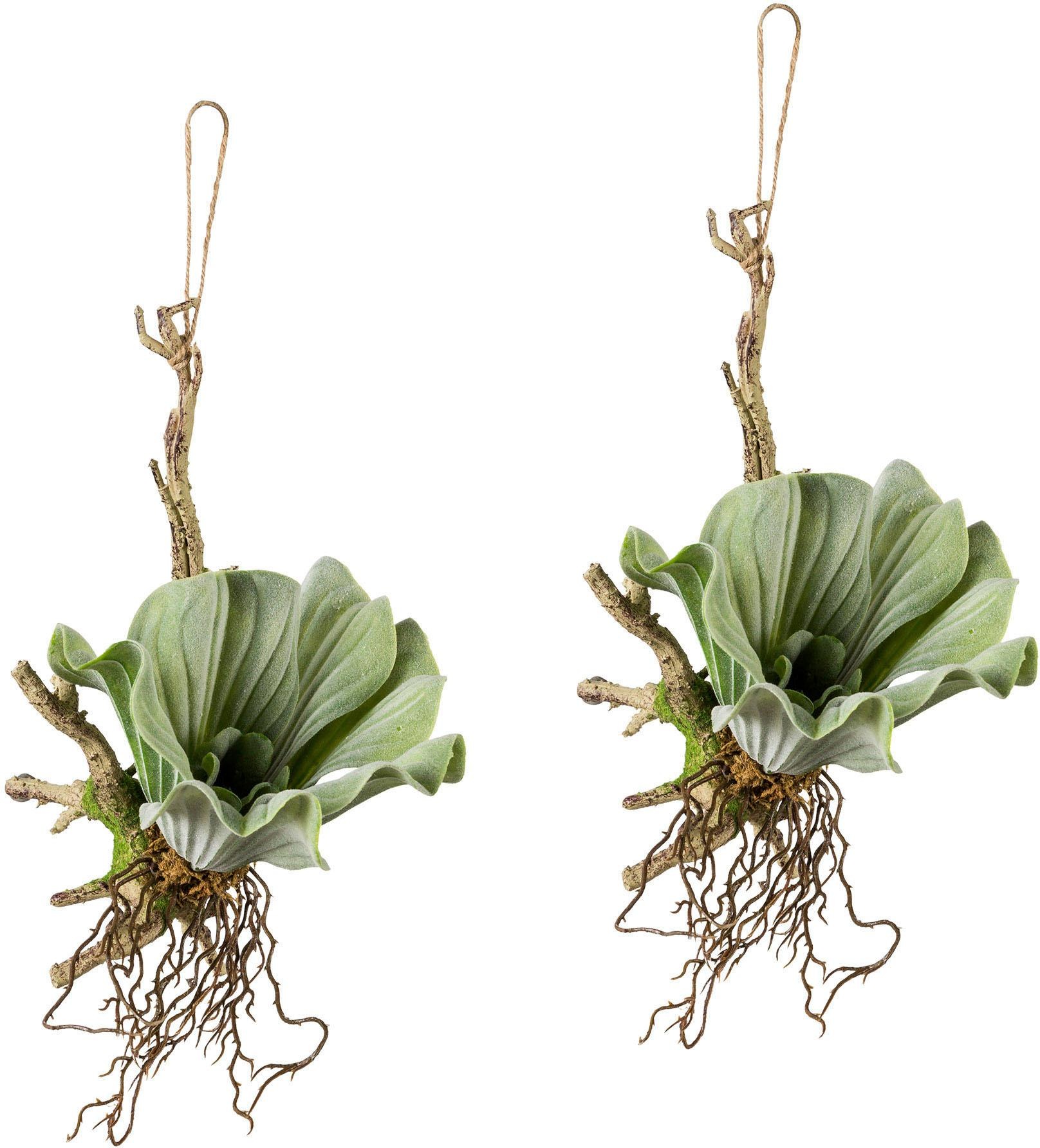 Image of Creativ green Kunstranke, (2 St.), 2er Set bei Ackermann Versand Schweiz