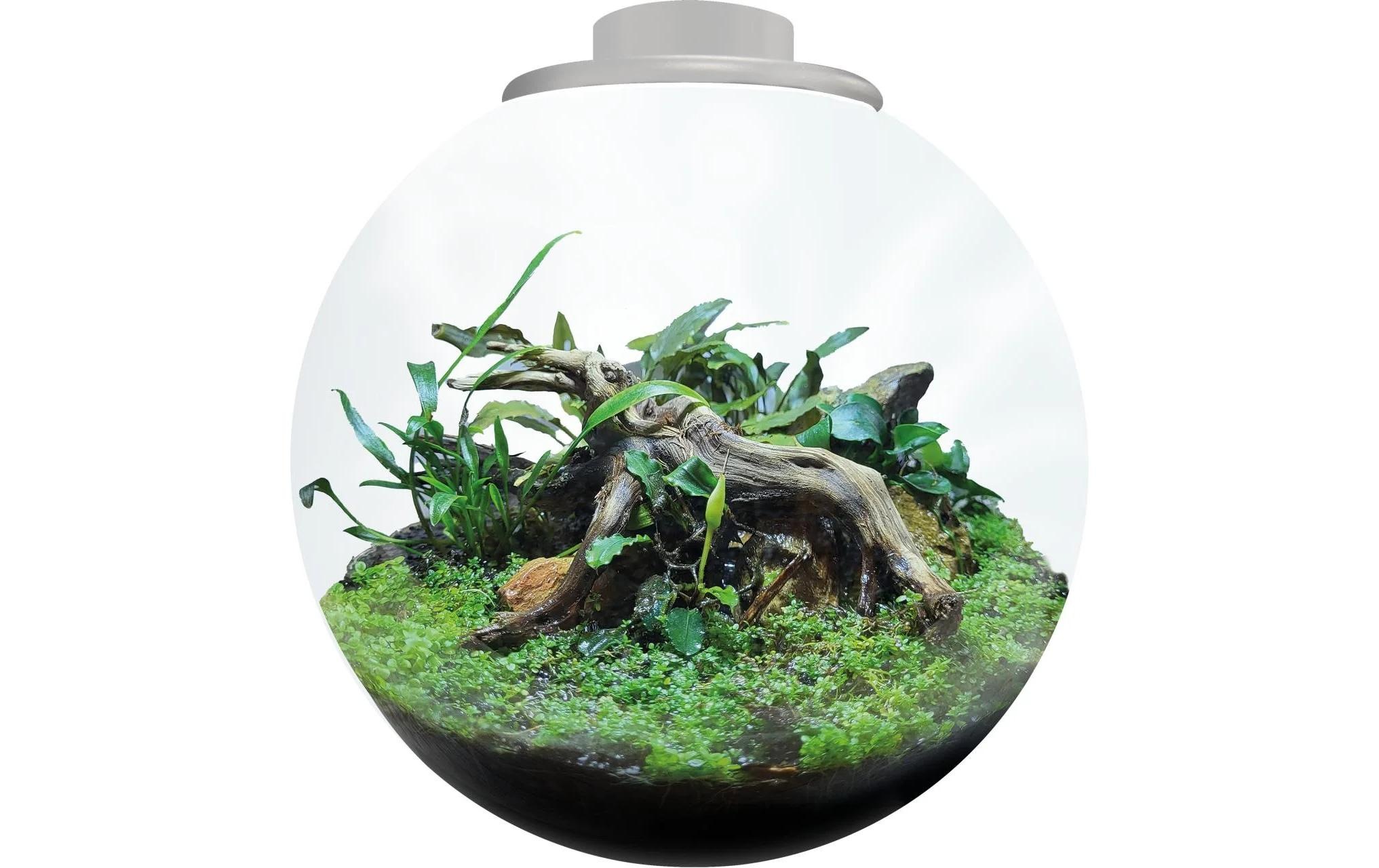 Image of Pflanzeinsatz "Bio Art Bowl 225"