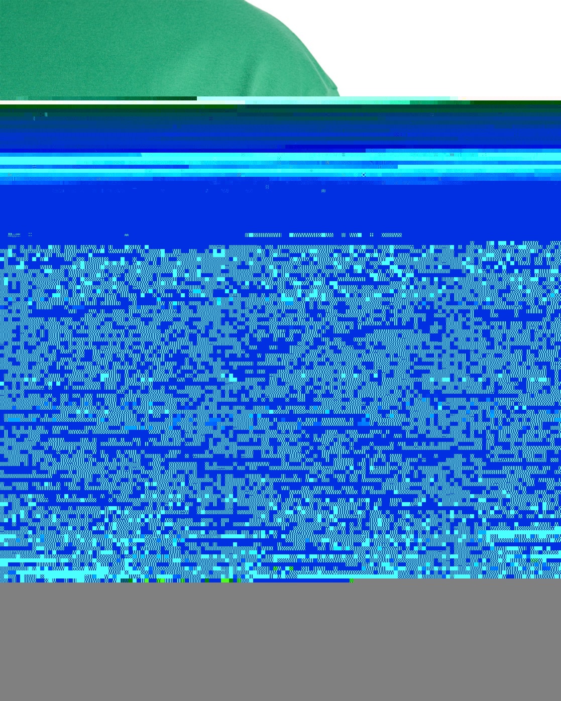 Quiksilver T-shirt »Salt Water«