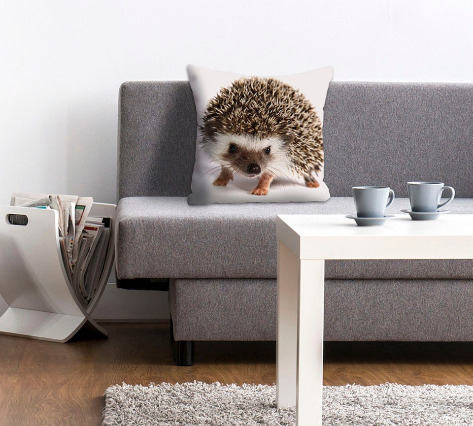 Image of queence Dekokissen "Veit" Kissenhülle,Igel,Süss,Tiermotiv,Niedlich,Naturmotiv,Verspielt