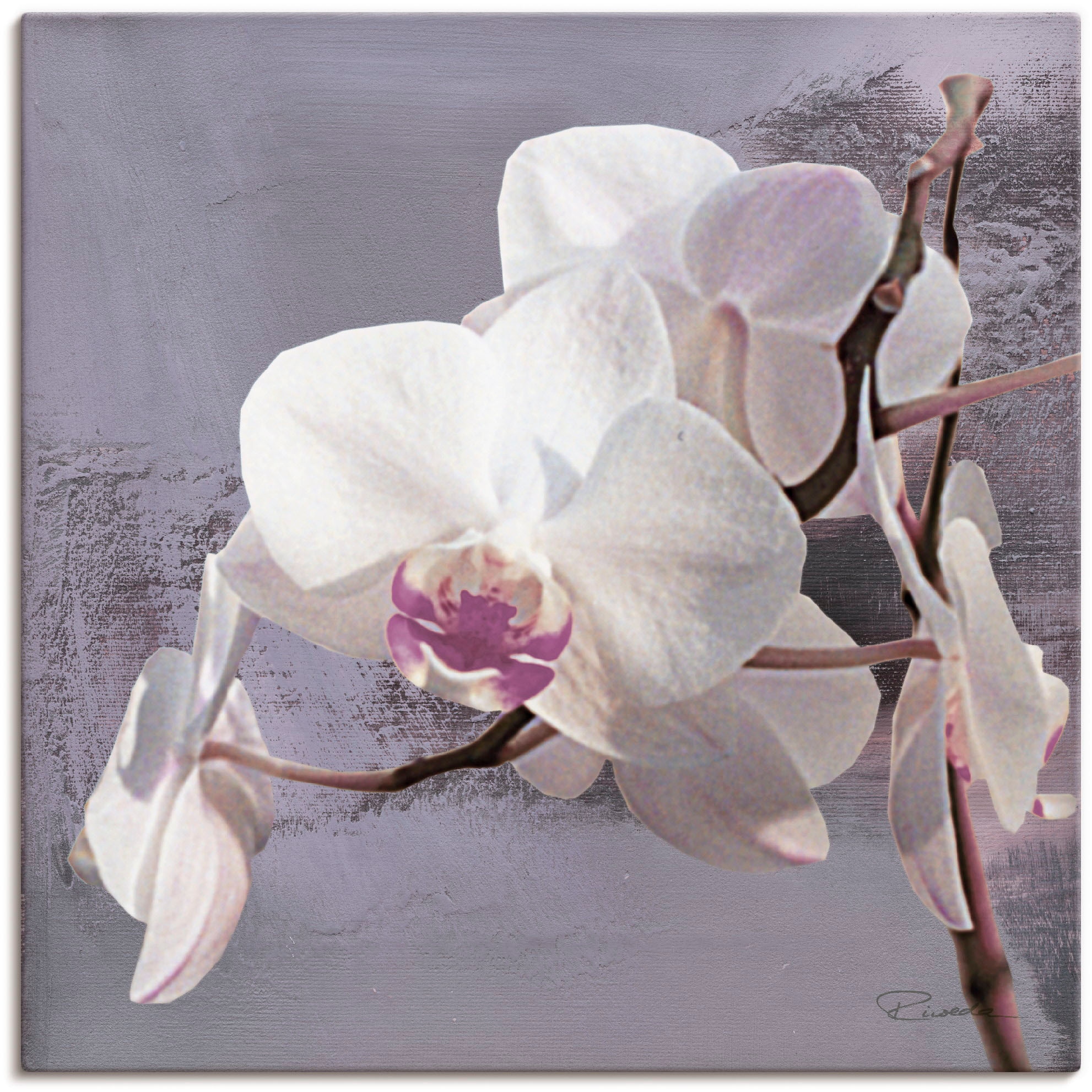 als (1 Wandbild Poster Artland Violett I«, Wandaufkleber Alubild, à versch. in vor »Orchideen Grössen bas prix Leinwandbild, Blumen, St.), oder