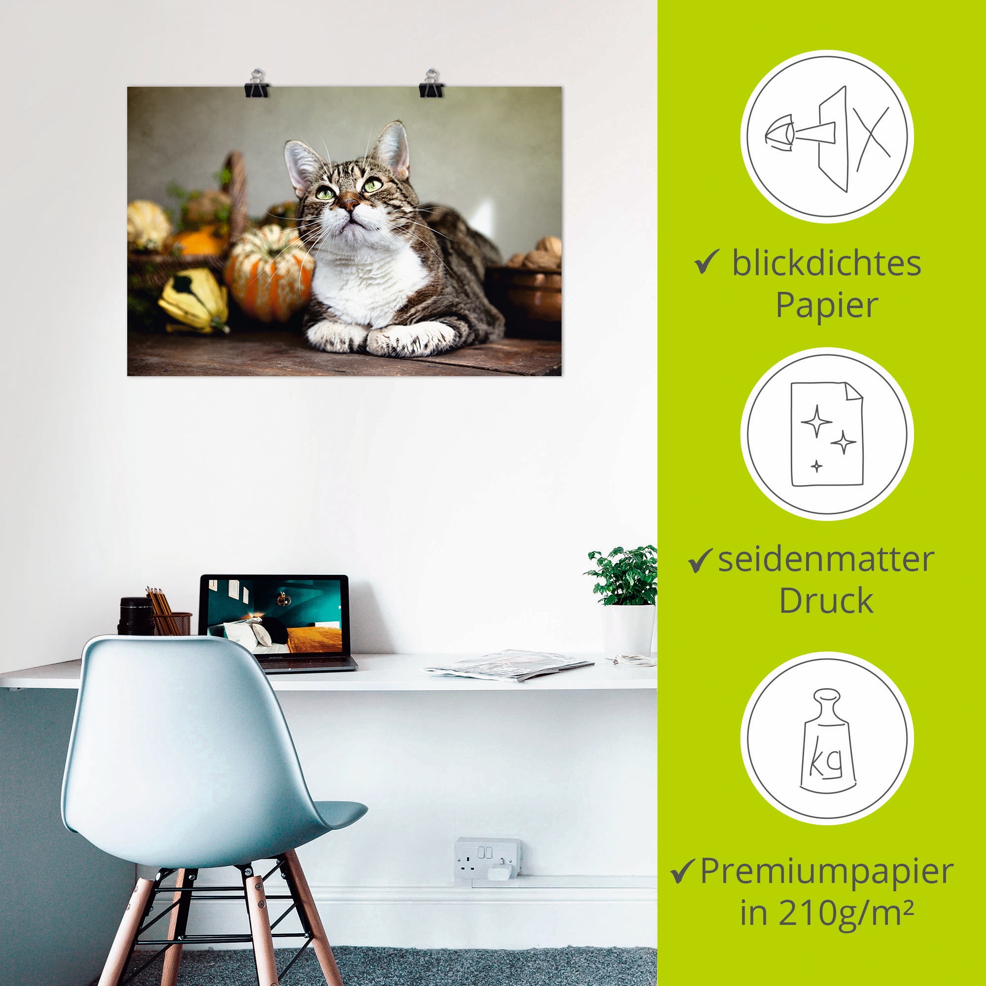 Artland Poster »Katze und Herbstdeko«, Haustiere, (1 St.), als Alubild, Leinwandbild, Wandaufkleber oder Poster in versch. Grössen