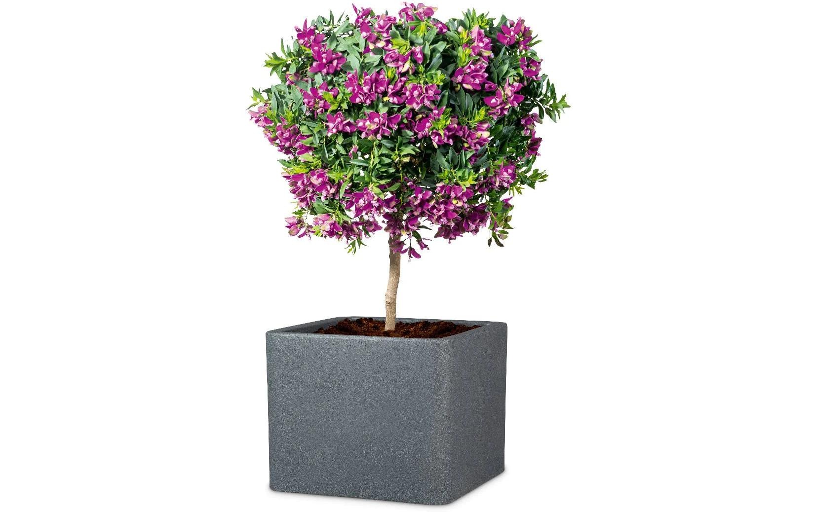 Scheurich Blumentopf "30/140 Granit"