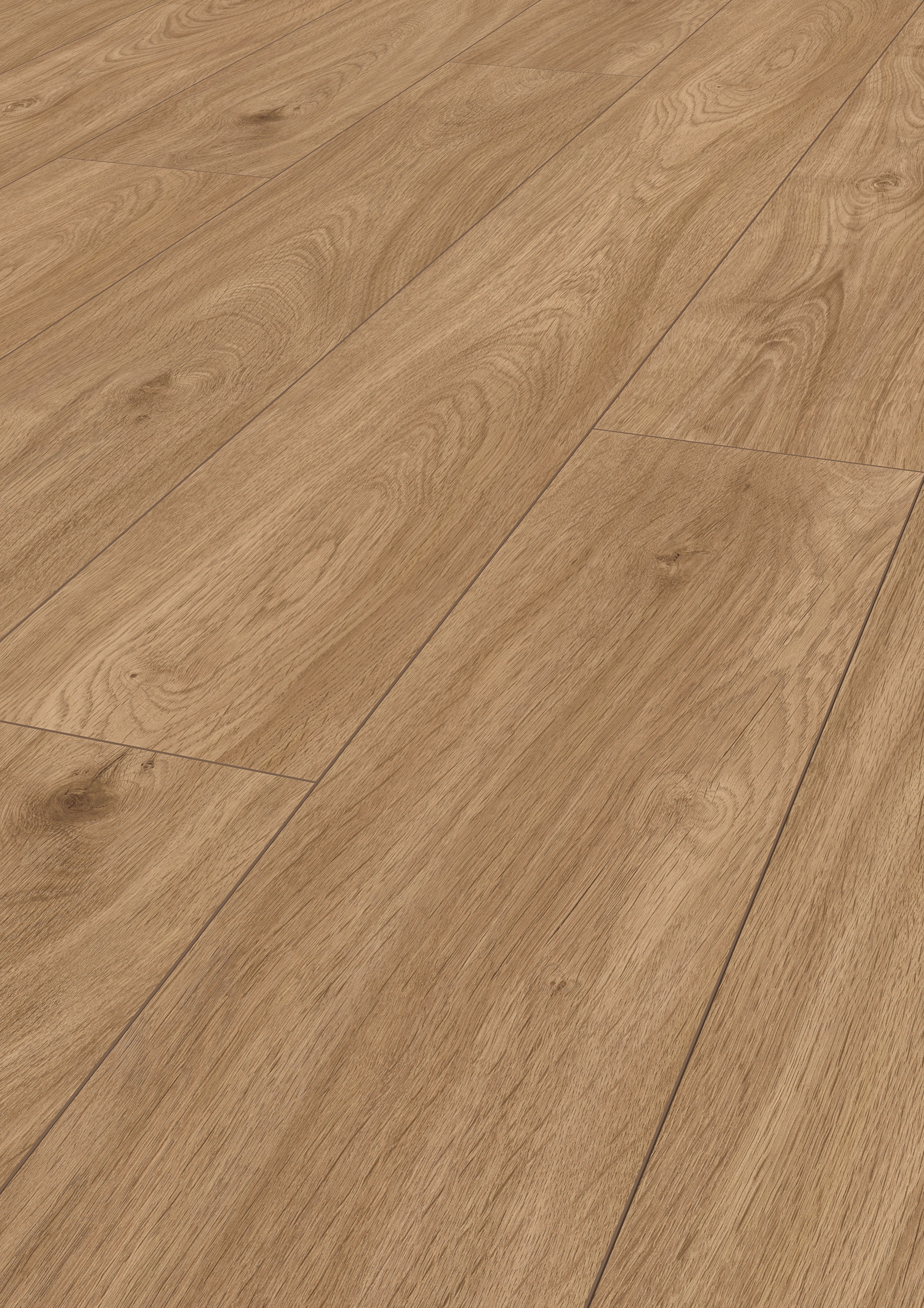 Image of ter Hürne Laminat »Eiche schilfbeige«, mit fühlbarer Oberfläche und Klicksystem bei Ackermann Versand Schweiz