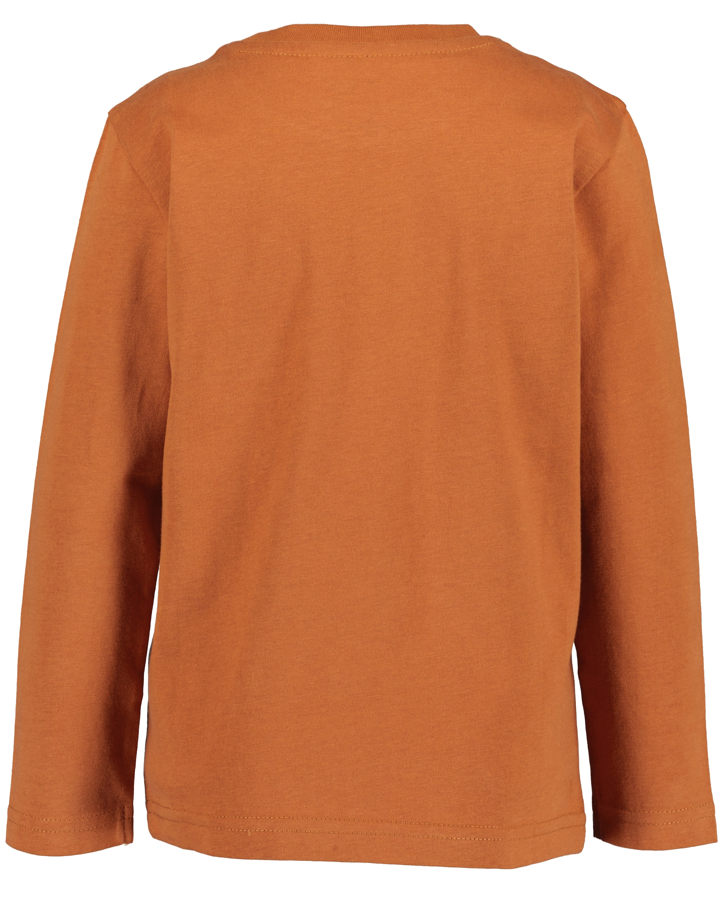Blue Seven Langarmshirt, (Packung, 2 tlg.), mit coolen Dino-Motiven