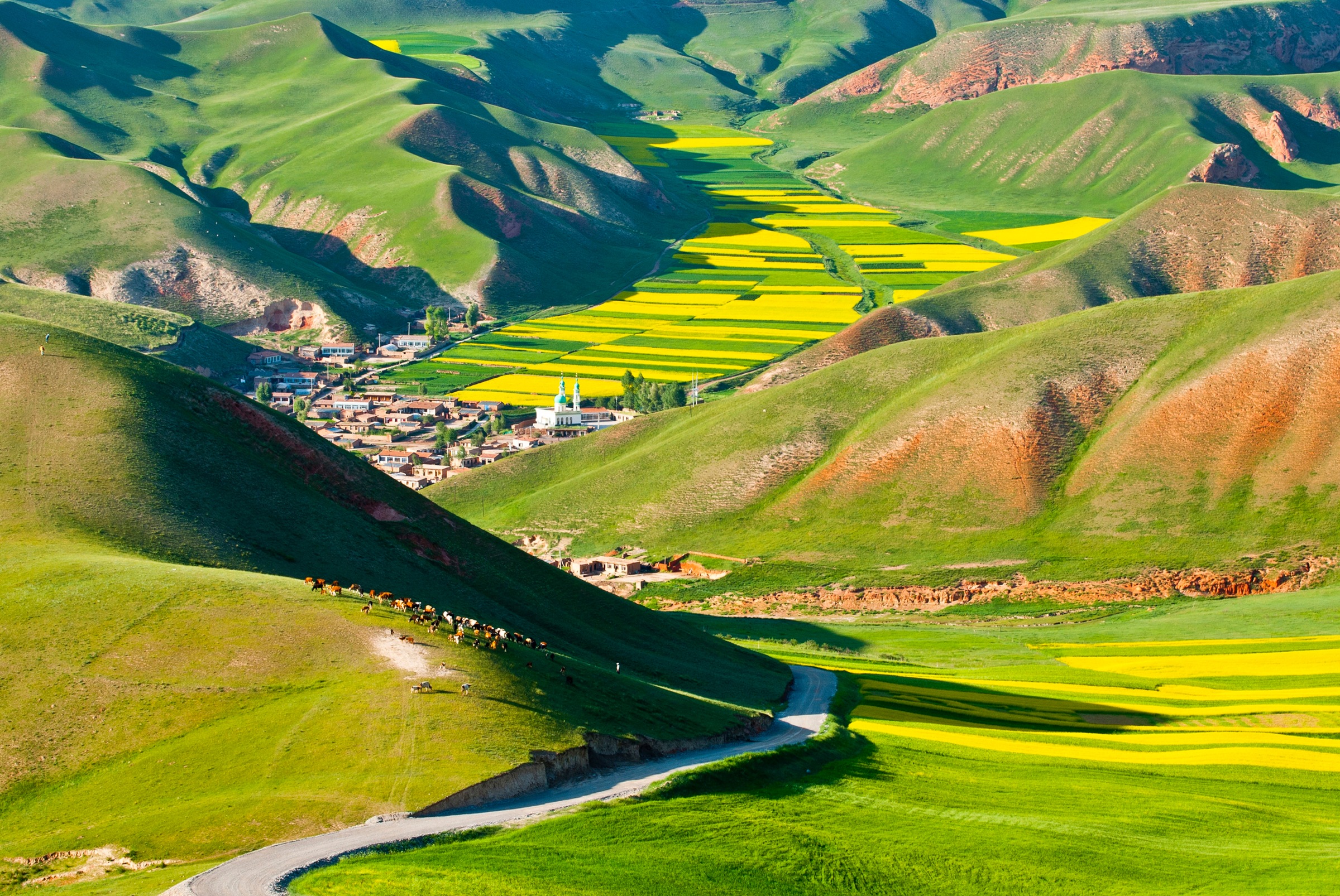 Image of Papermoon Fototapete »GEBIRGE-TAL STADT BUNT BERGE LANDSCHAFT VIEH GRÜN WOLKE«, Vliestapete, hochwertiger Digitaldruck, inklusive Kleister bei Ackermann Versand Schweiz