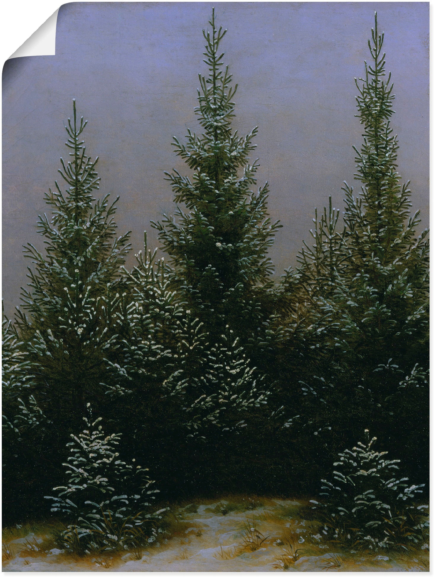 Artland Kunstdruck »Fichtendickicht im Schnee Dresdner Heide«, Bäume, (1 St.), als Alubild, Leinwandbild, Wandaufkleber oder Poster in versch. Grössen