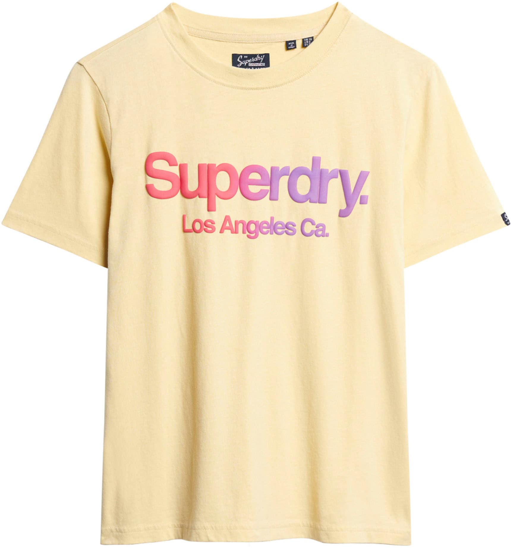 Superdry T-Shirt »TONAL RAINBOW CORE RELAXED TEE«