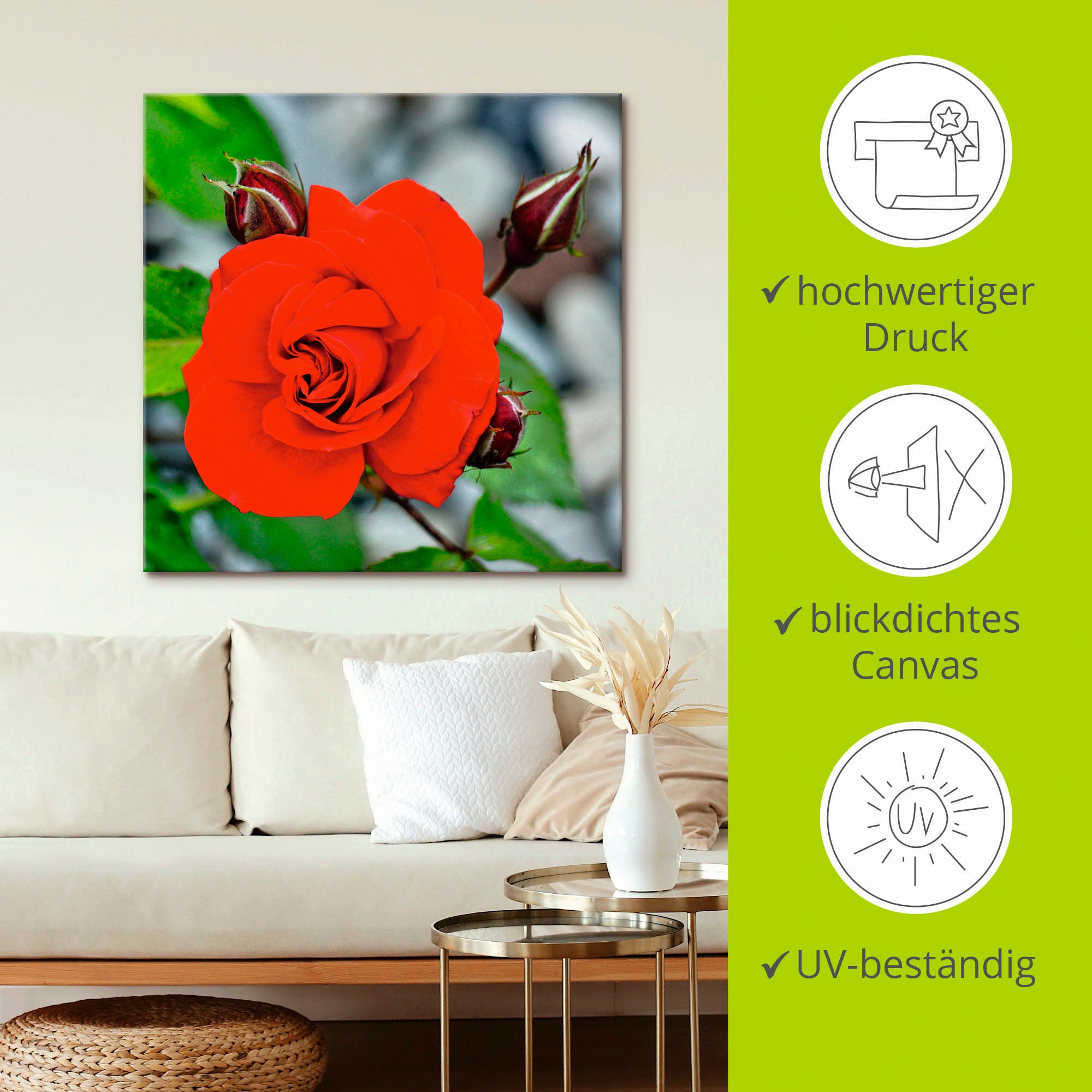 Artland Wandbild »Rote Rosenblüte mit Knospen«, Blumen, (1 St.), als Leinwandbild, Wandaufkleber in verschied. Grössen
