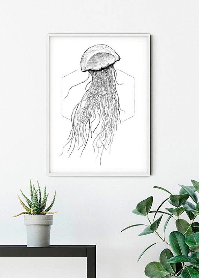 Komar Image »Jellyfish White« Animaux 1 cuis tlg. Wandbild zur Dekoration - ohne Rahmen