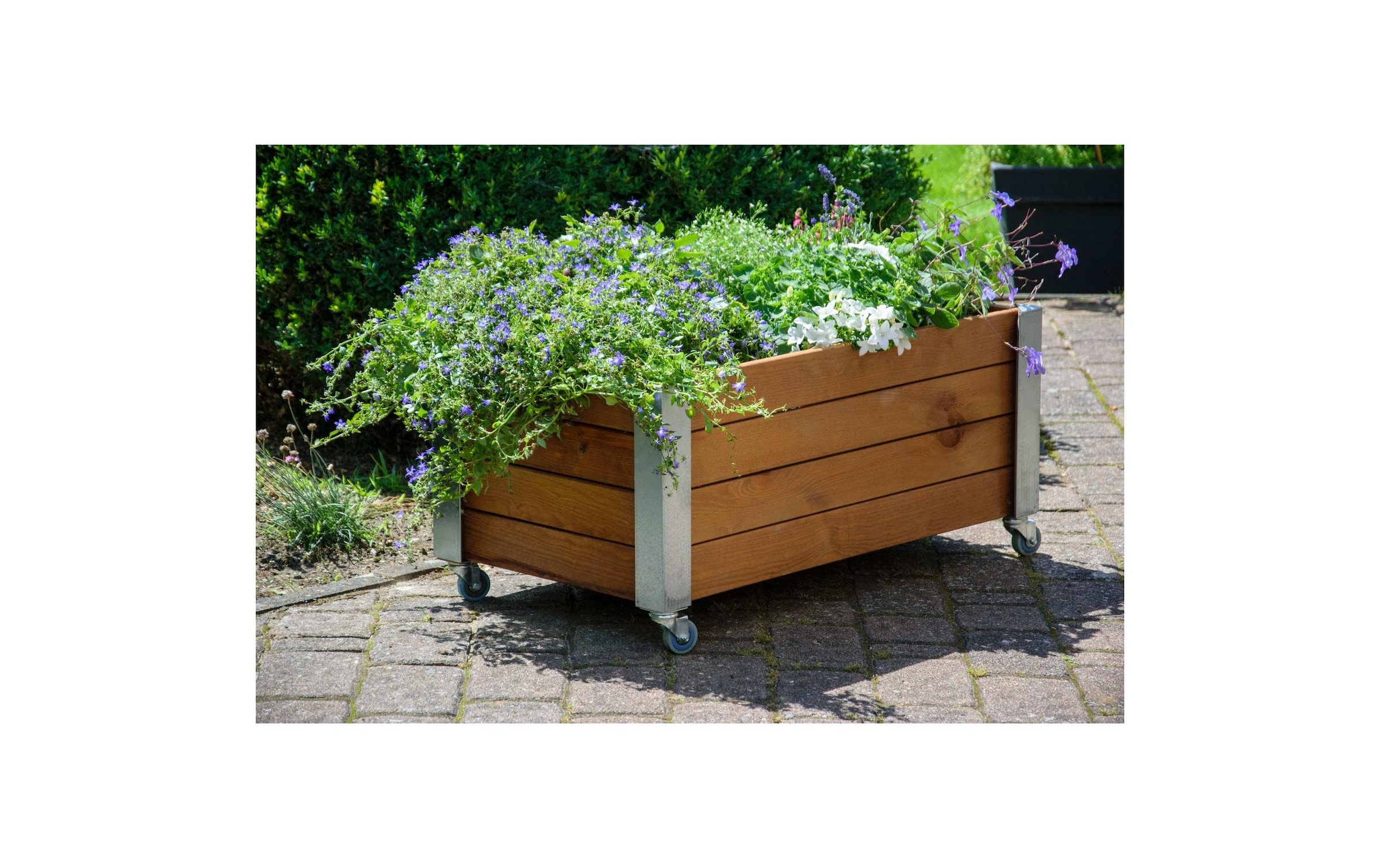 dobar Hochbeet »«Rollfi» aus Holz mit Rollen«