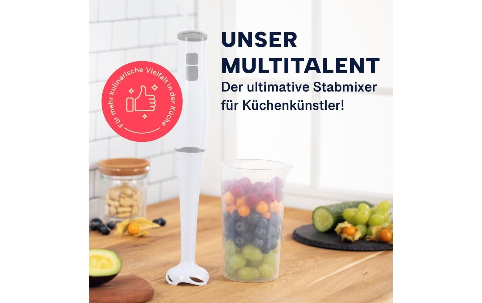 GOURMETmaxx Mixeur plongeant »13767 Weiss« 400 W Kraftvoller Stabmixer