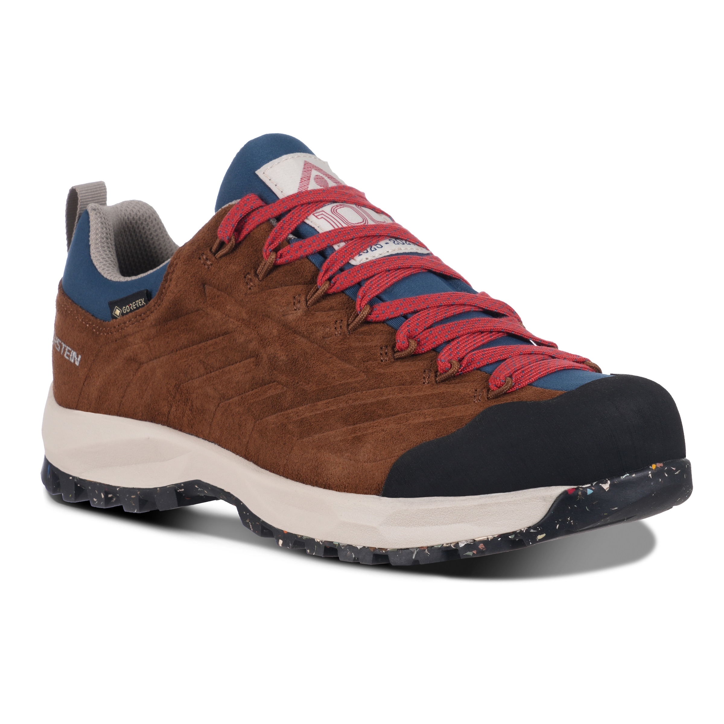Dachstein Wanderschuh »SF-21 GTX 1925 WMN«, wasserdicht