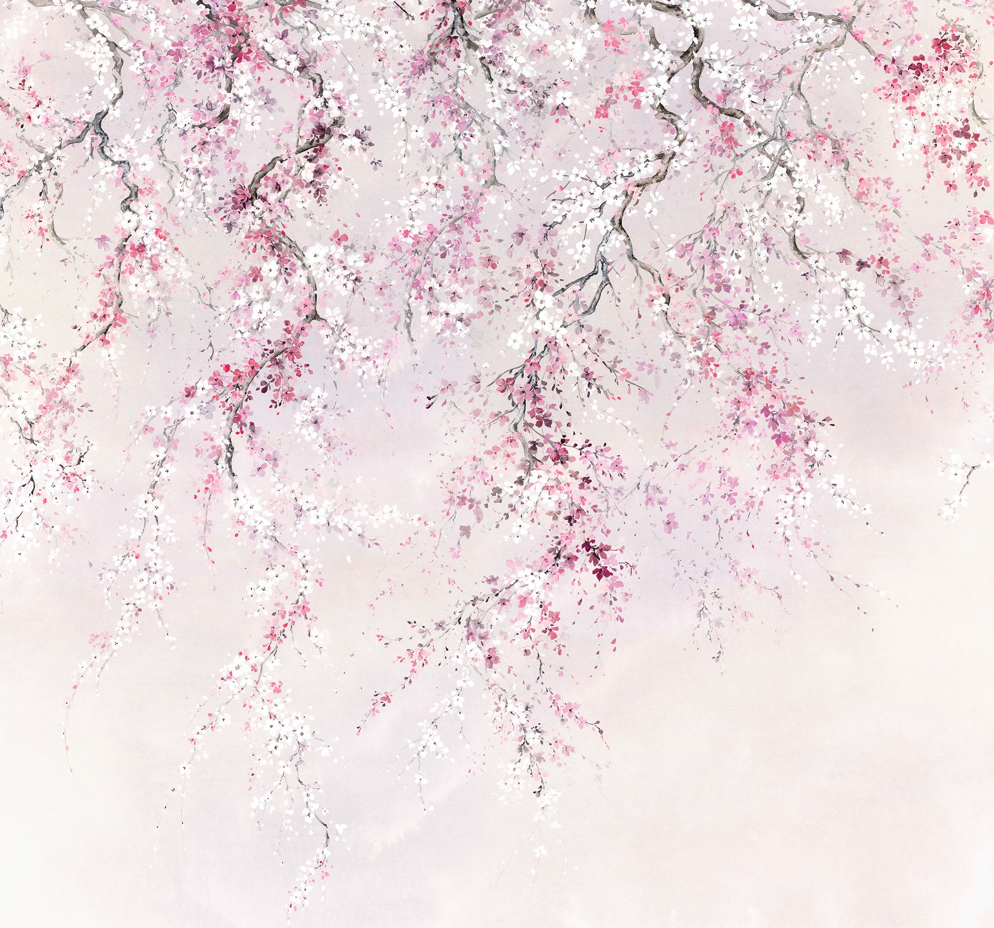 Image of Komar Fototapete »Vliestapete Kirschblüten«, bedruckt-geblümt-floral-realistisch, 300 x 280 cm bei Ackermann Versand Schweiz