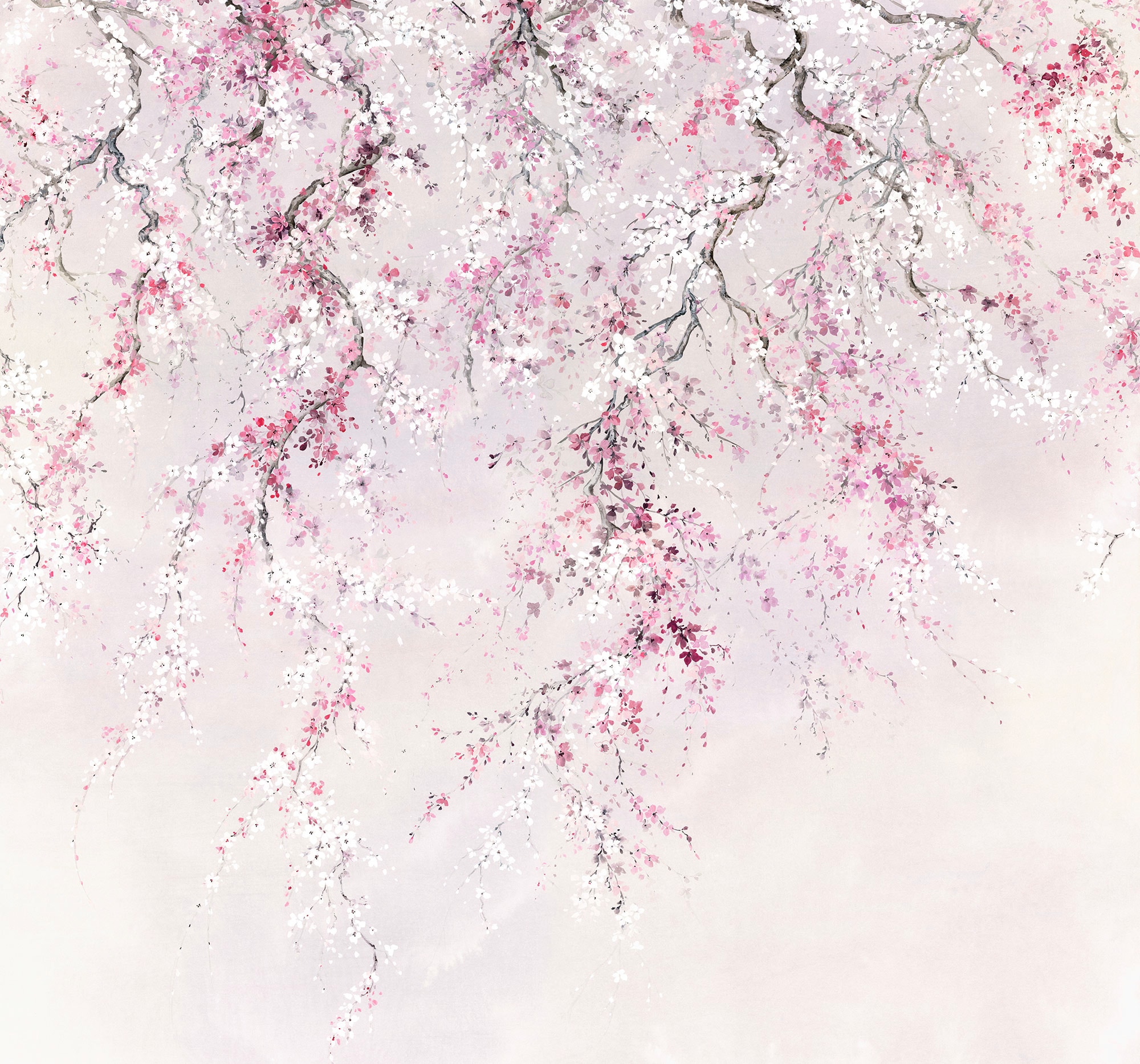 Image of Komar Vliestapete "Digitaldruck Vlies - Kirschblüten - Grösse 300 x 280 cm" bedruckt glatt Wohnzimmer, Schlafzimmer