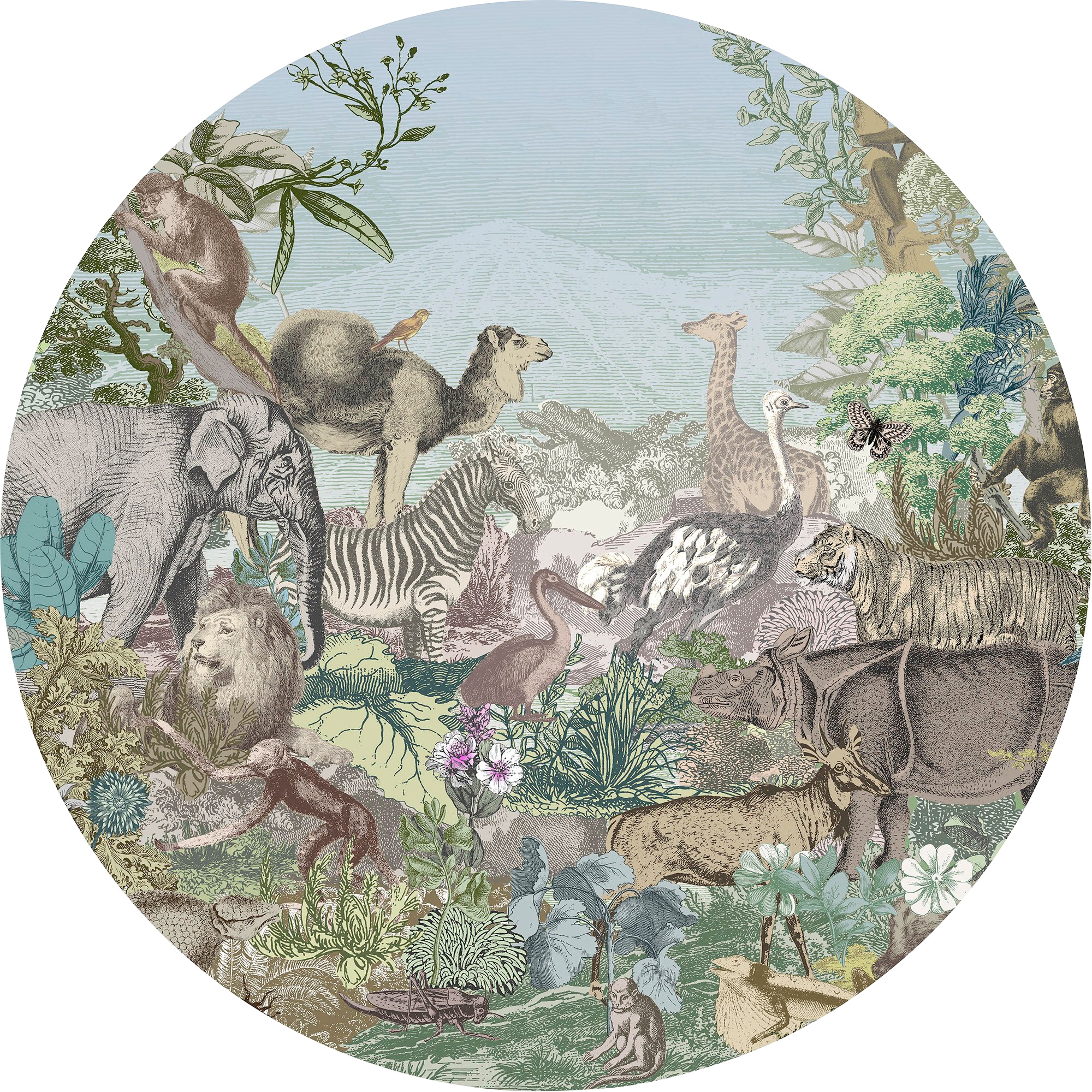 Image of Komar Fototapete "Vlies selbstklebend - Animal Kingdom - Grösse 125 x 125 cm" bedruckt glatt Wohnzimmer, Schlafzimmer