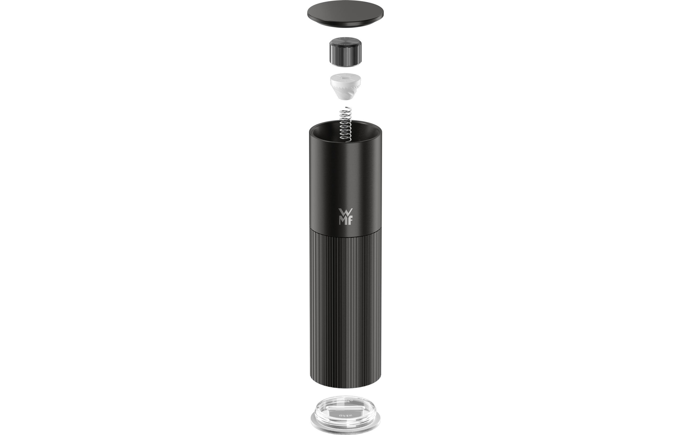 WMF Gewürzmühle »Signature Pro, aus Edelstahl« Keramikmahlwerk, einstellbarer Mahlgrad, magnetischer Deckel