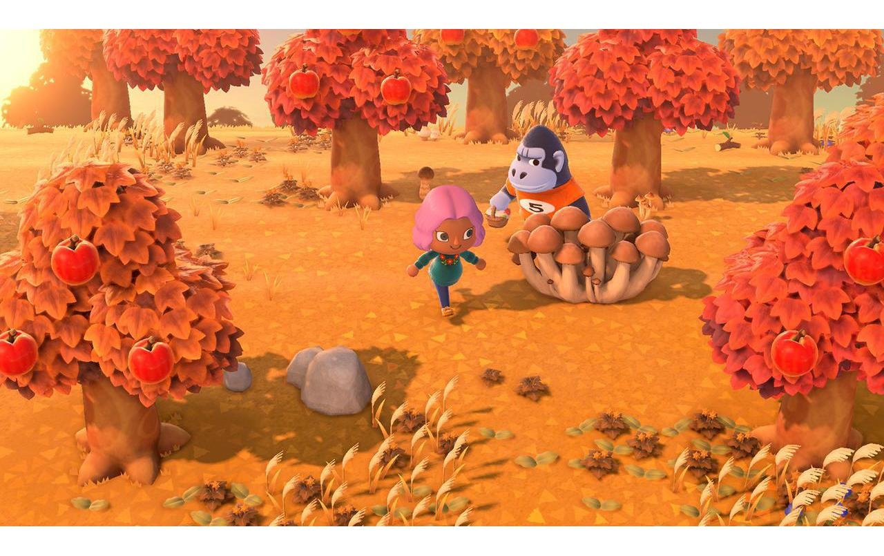 Nintendo Spielesoftware »Animal Crossing: New Horiz«, Nintendo Switch