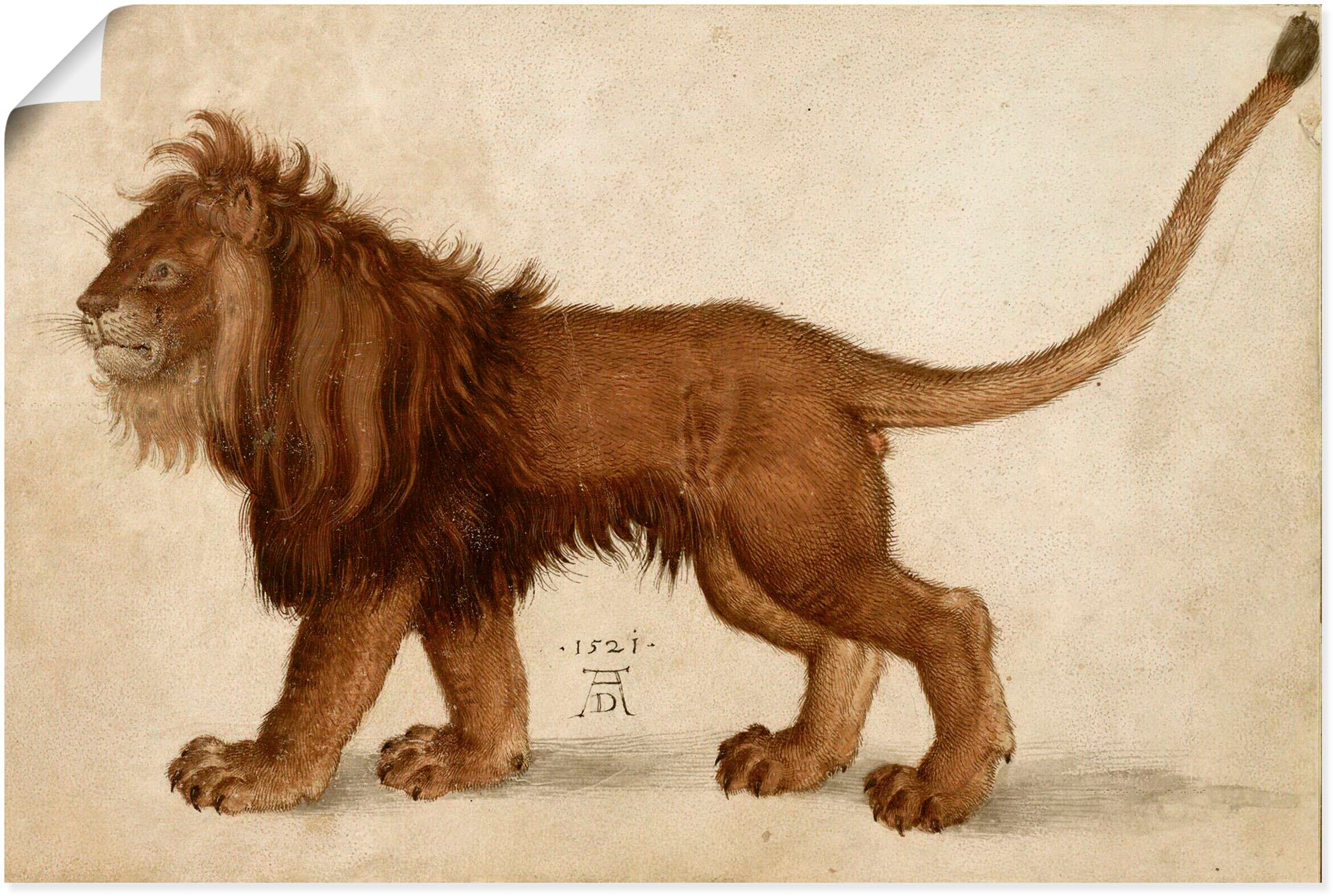 Image of Artland Poster "Löwe. 1521" Raubkatzen 1 Stk. tlg. ohne Rahmen