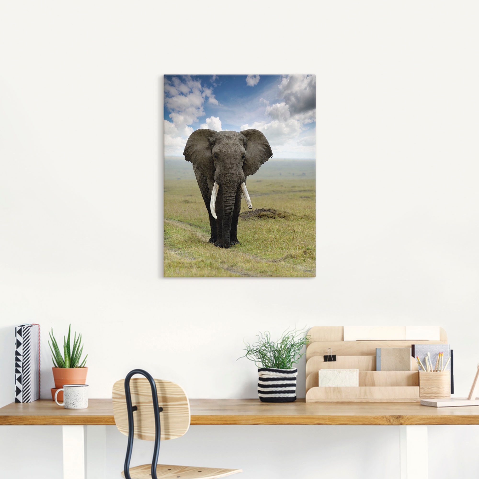 Artland Wandbild »Elefant«, Wildtiere, (1 St.), als Alubild, Outdoorbild, Leinwandbild, Poster in verschied. Grössen