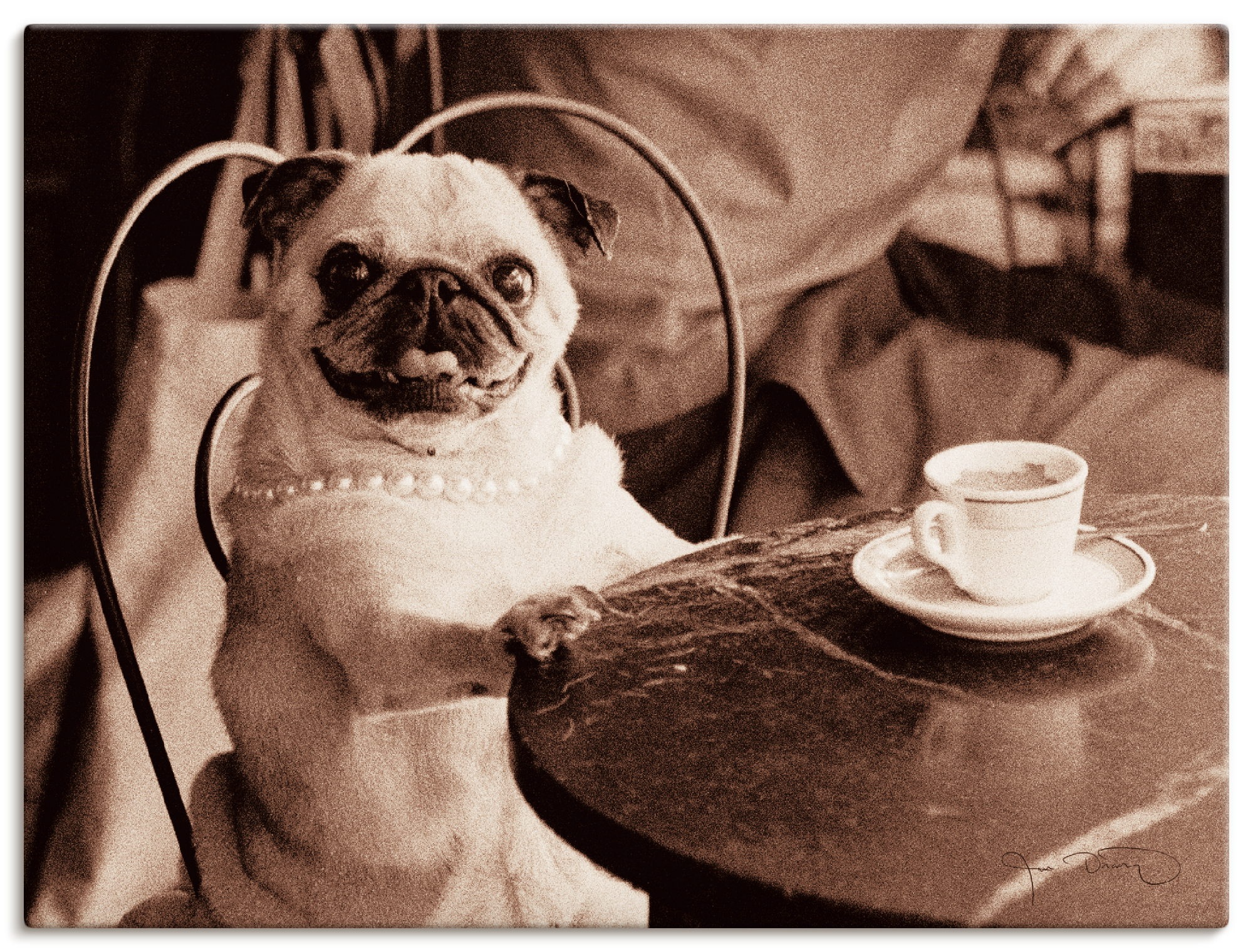 Image of Artland Wandbild »Kaffee Mops«, Haustiere, (1 St.), in vielen Grössen & Produktarten -Leinwandbild, Poster, Wandaufkleber / Wandtattoo auch für Badezimmer geeignet bei Ackermann Versand Schweiz