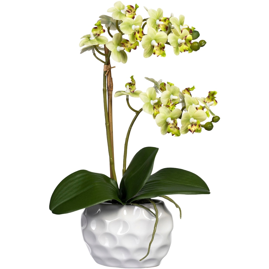Creativ green Kunstorchidee »Phalaenopsis«
