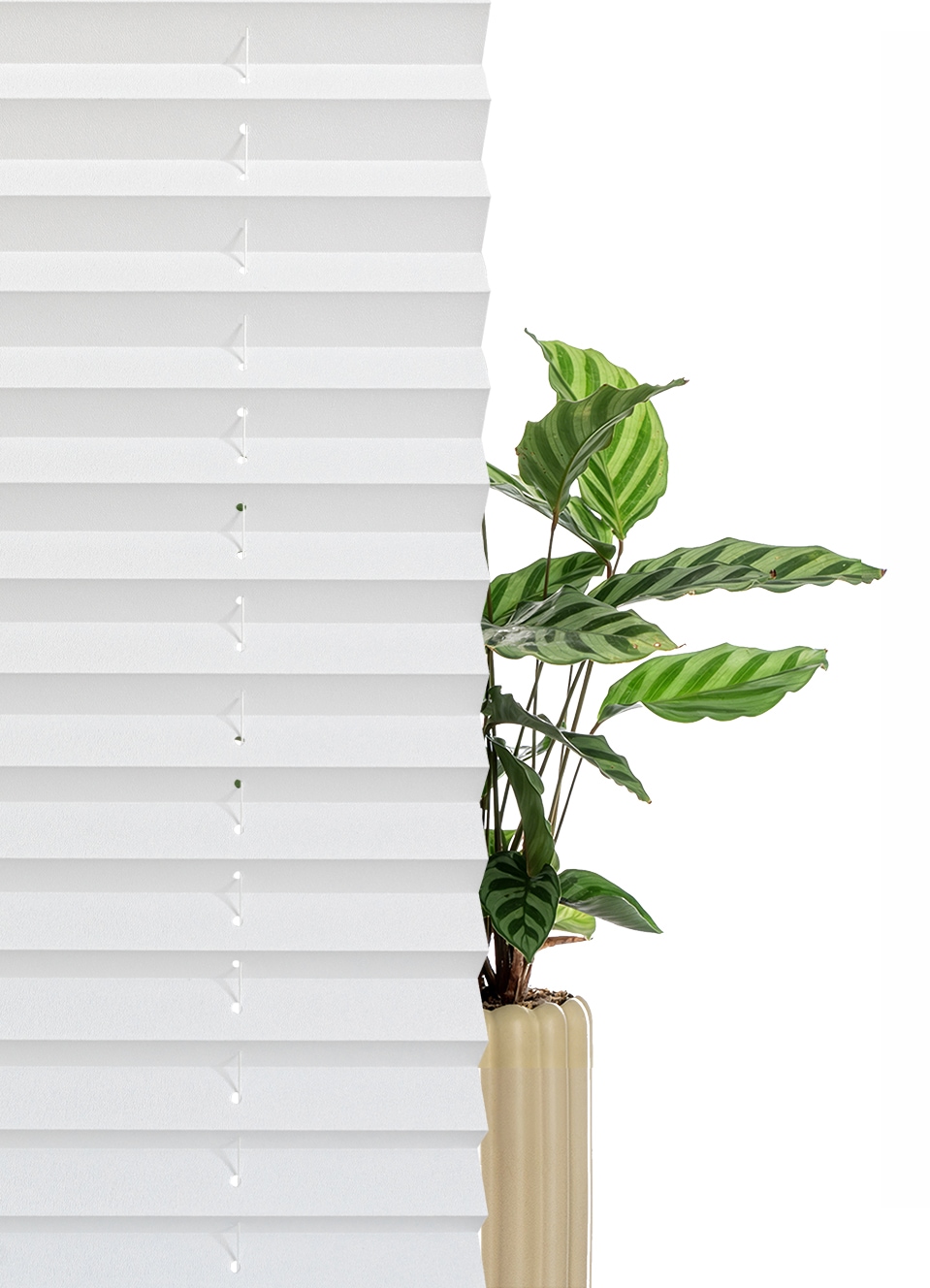 GOODproduct Plissé »LORRI« Lichtschutz ohne Bohren freihängend Freihängendes Design ohne störende Schnüre oder Ketten - NEUHEIT!