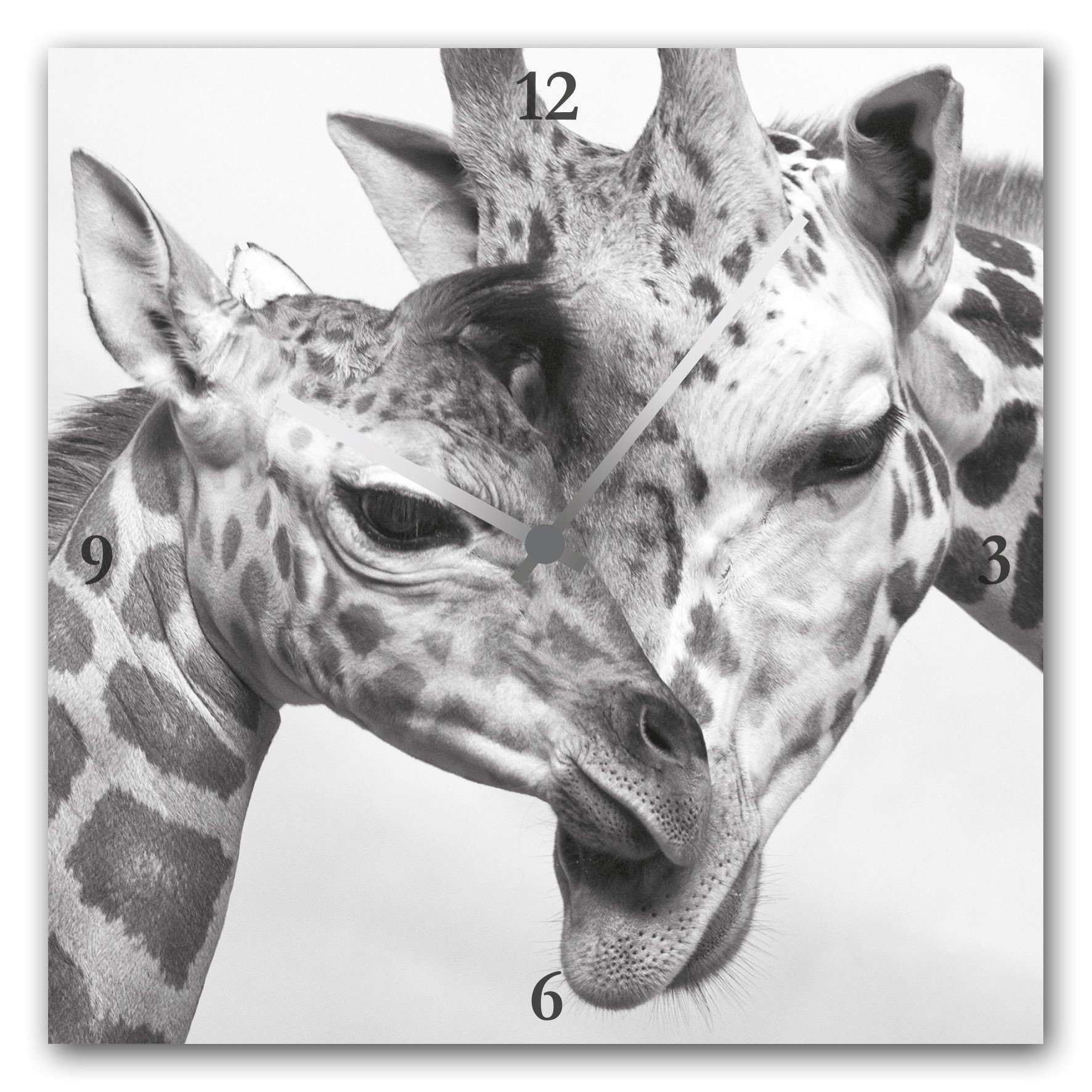 Image of queence Wanduhr "Giraffen" eckig, Acrylglas, Tiermotiv, Giraffen