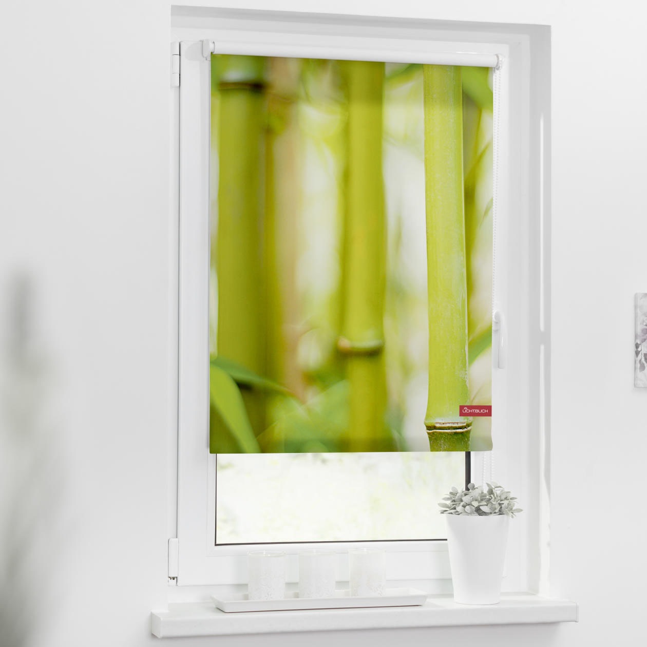 Image of LICHTBLICK ORIGINAL Seitenzugrollo »Rollo Klemmfix, ohne Bohren, Verdunkelung, Bambus - Grün«, verdunkelnd, Verdunkelung-energiesparend, freihängend bei Ackermann Versand Schweiz