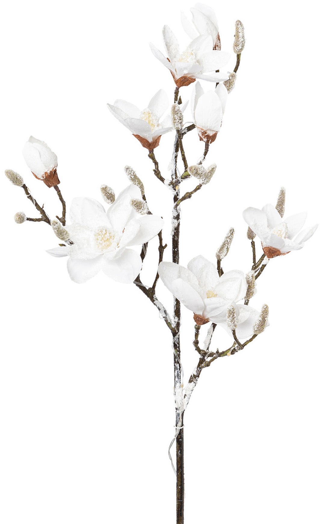 Image of Creativ light LED Dekolicht, Magnolie in beschneiter Optik, 15 LEDs, 115 cm, Batterie 3xAA bei Ackermann Versand Schweiz