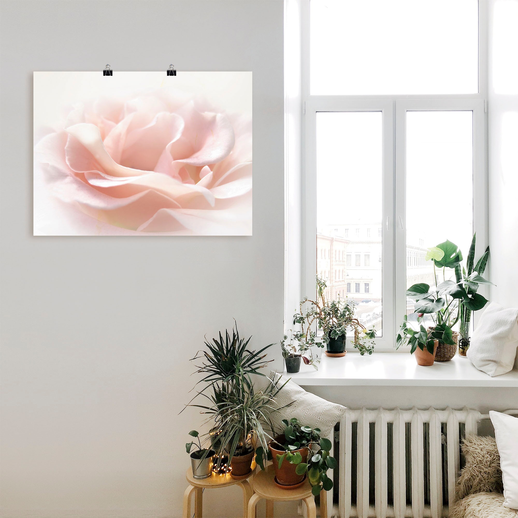 Artland Wandbild »Rose I« Blumen 1 Stk. tlg. als Alubild, Poster in verschied. Grössen