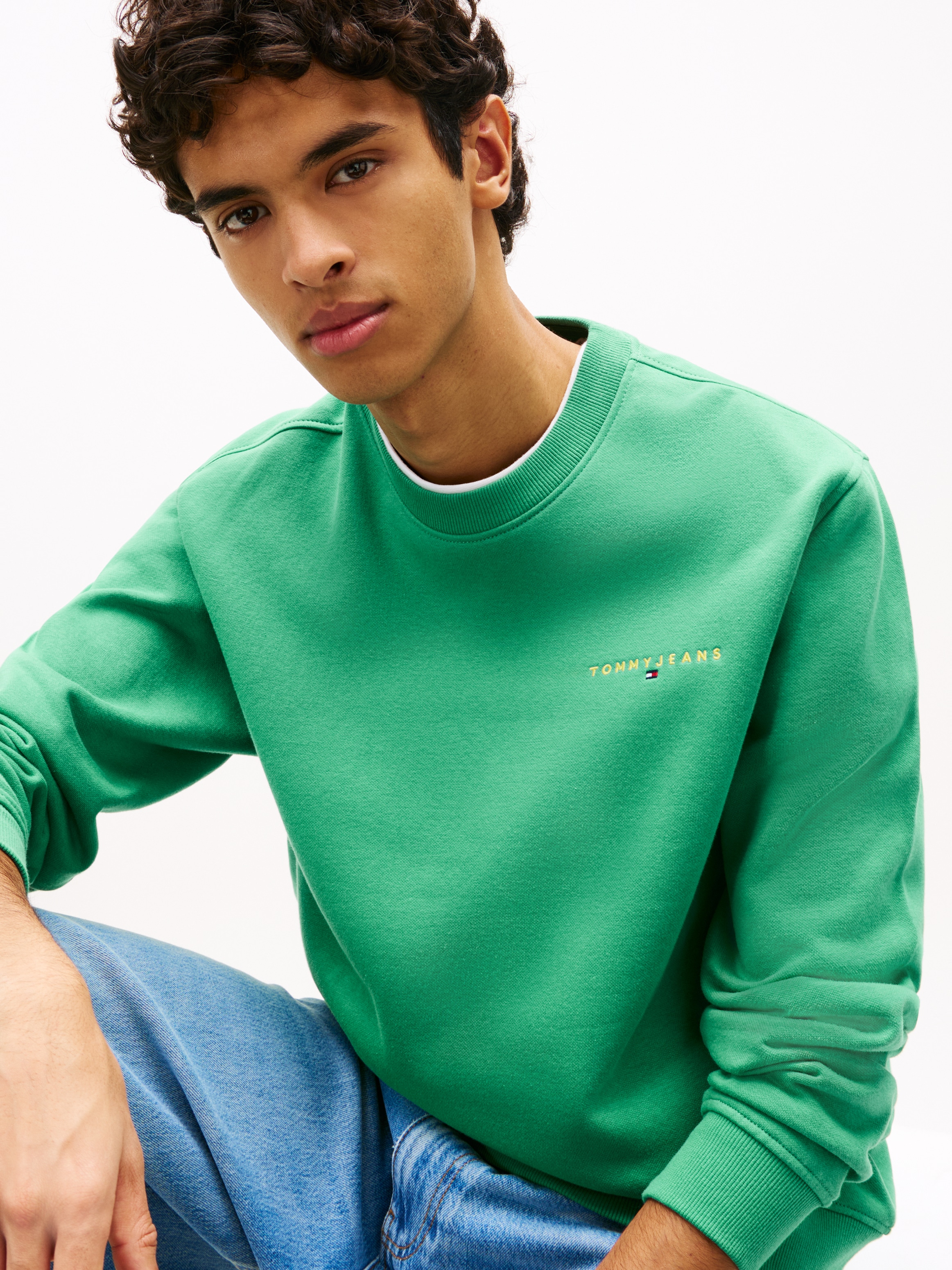 Tommy Jeans Sweatshirt »TJM REG LINEAR CREW EXT«, mit Logostickerei
