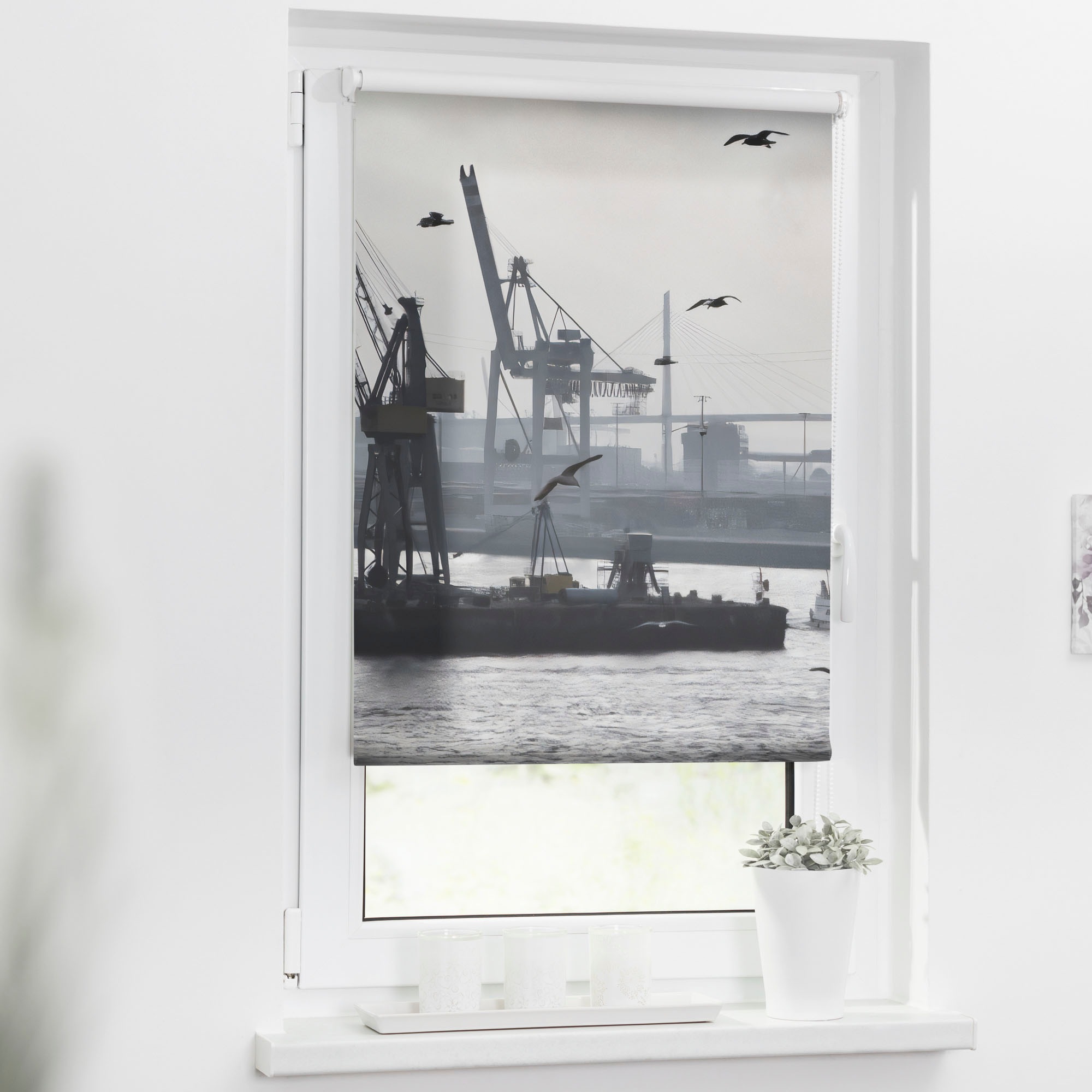 Image of elbgestoeber Seitenzugrollo »Elbblick 2«, Lichtschutz, ohne Bohren bei Ackermann Versand Schweiz