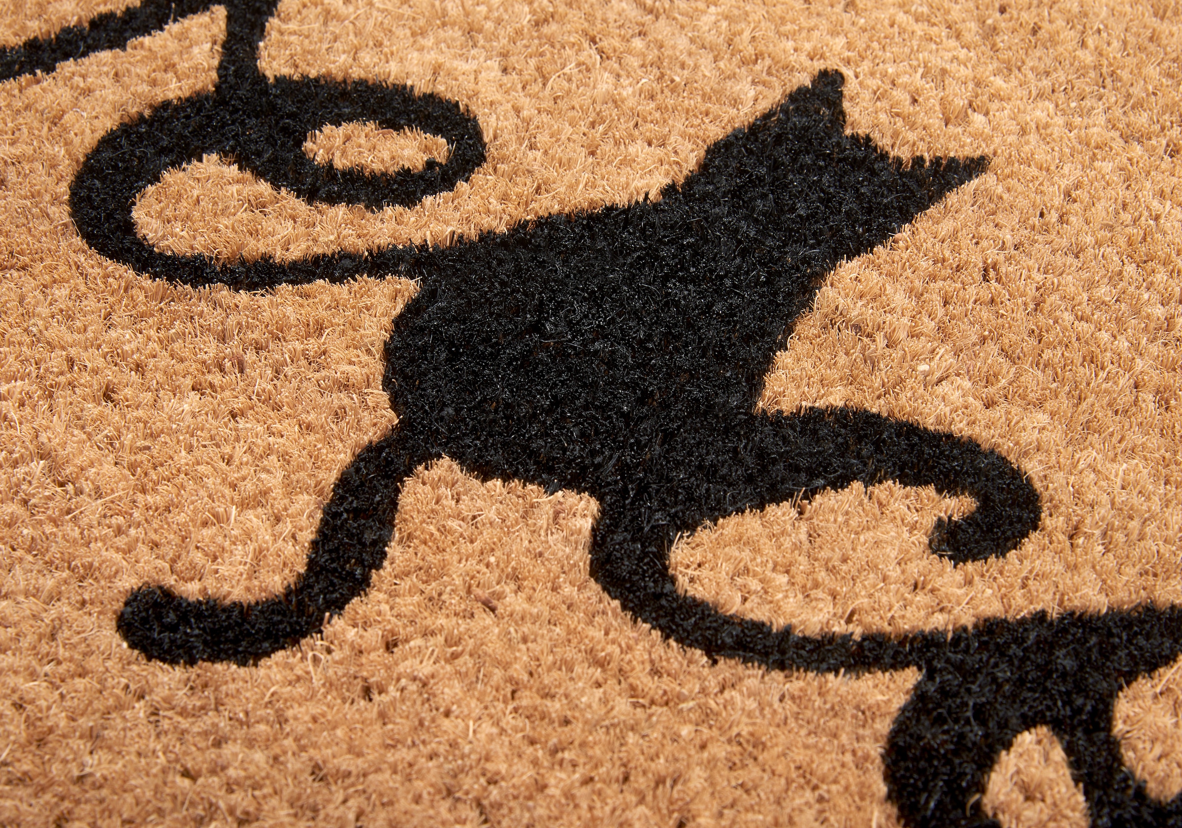 HANSE Home Fussmatte »Mix Mats Kokos Cat Paws Welcome, Türmatte«, rechteckig, 15 mm Höhe, Kokos, Schmutzfangmatte, Outdoor, Rutschfest, Innen, Kokosmatte, Flur